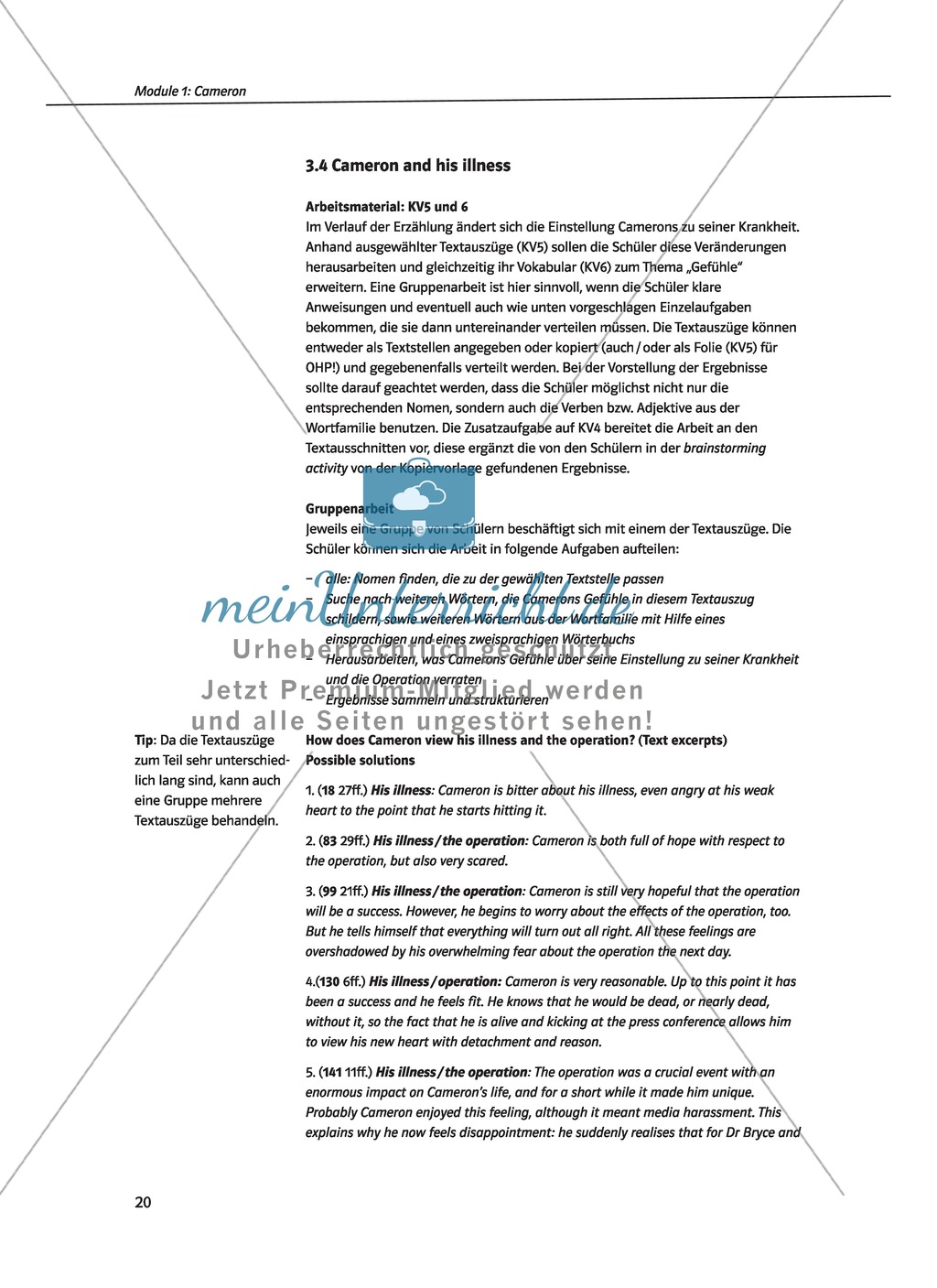 Cameron as the main character: Direct and indirect characterisation. Mit didaktischen Anmerkungen, Kopiervorlagen, Vokabelanmerkungen und Lösungsvorschlägen. Preview 5