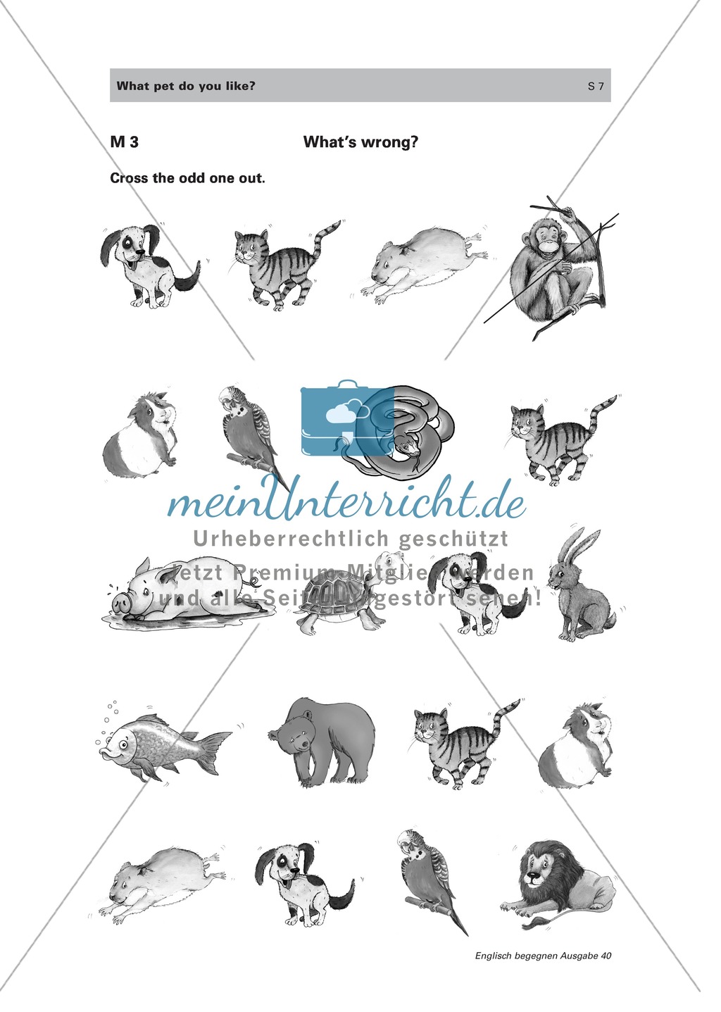 Englischen Wortschatz zum Thema