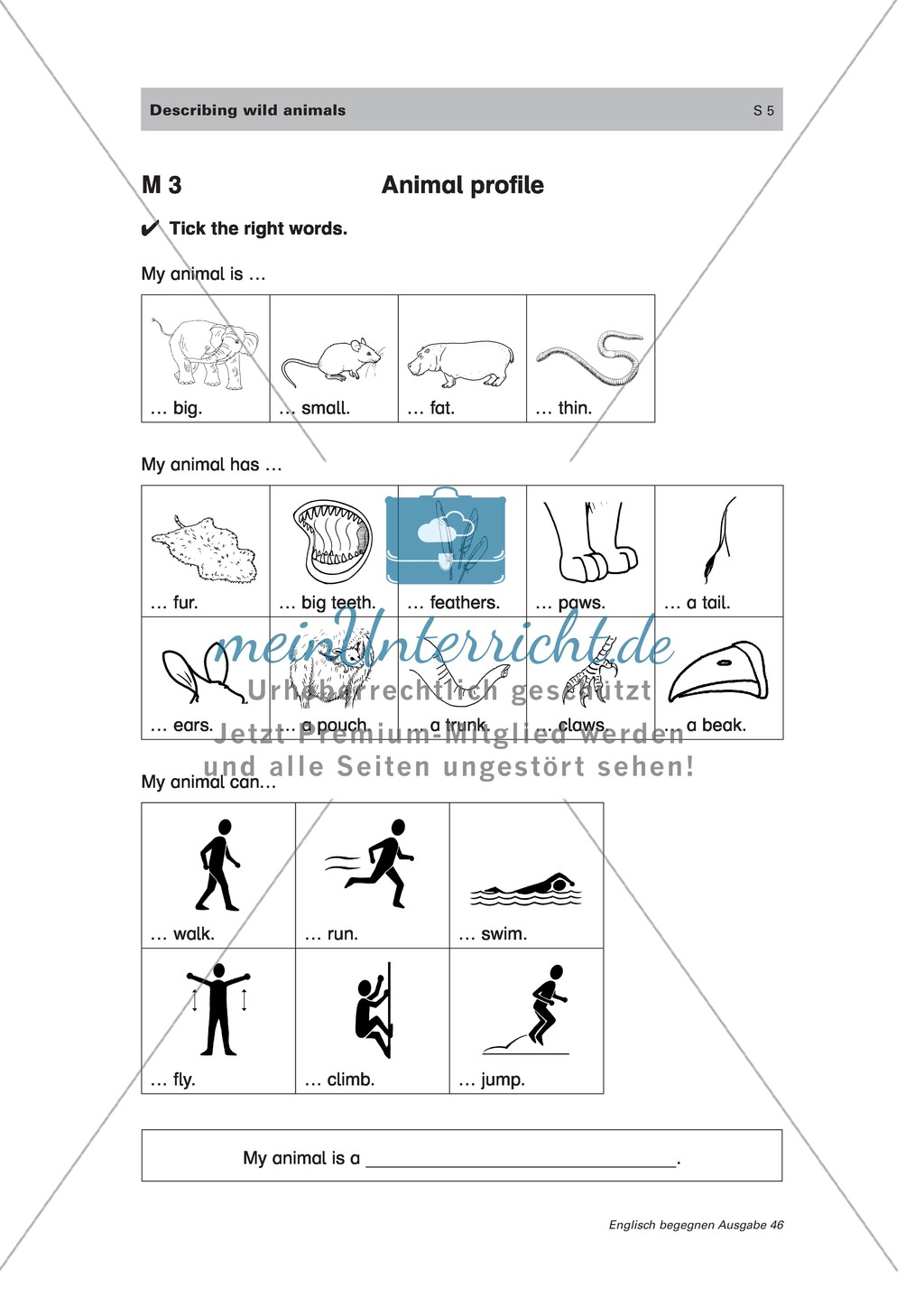 Practicing english vocabulary and sentence structures: describing wild animals Preview 3