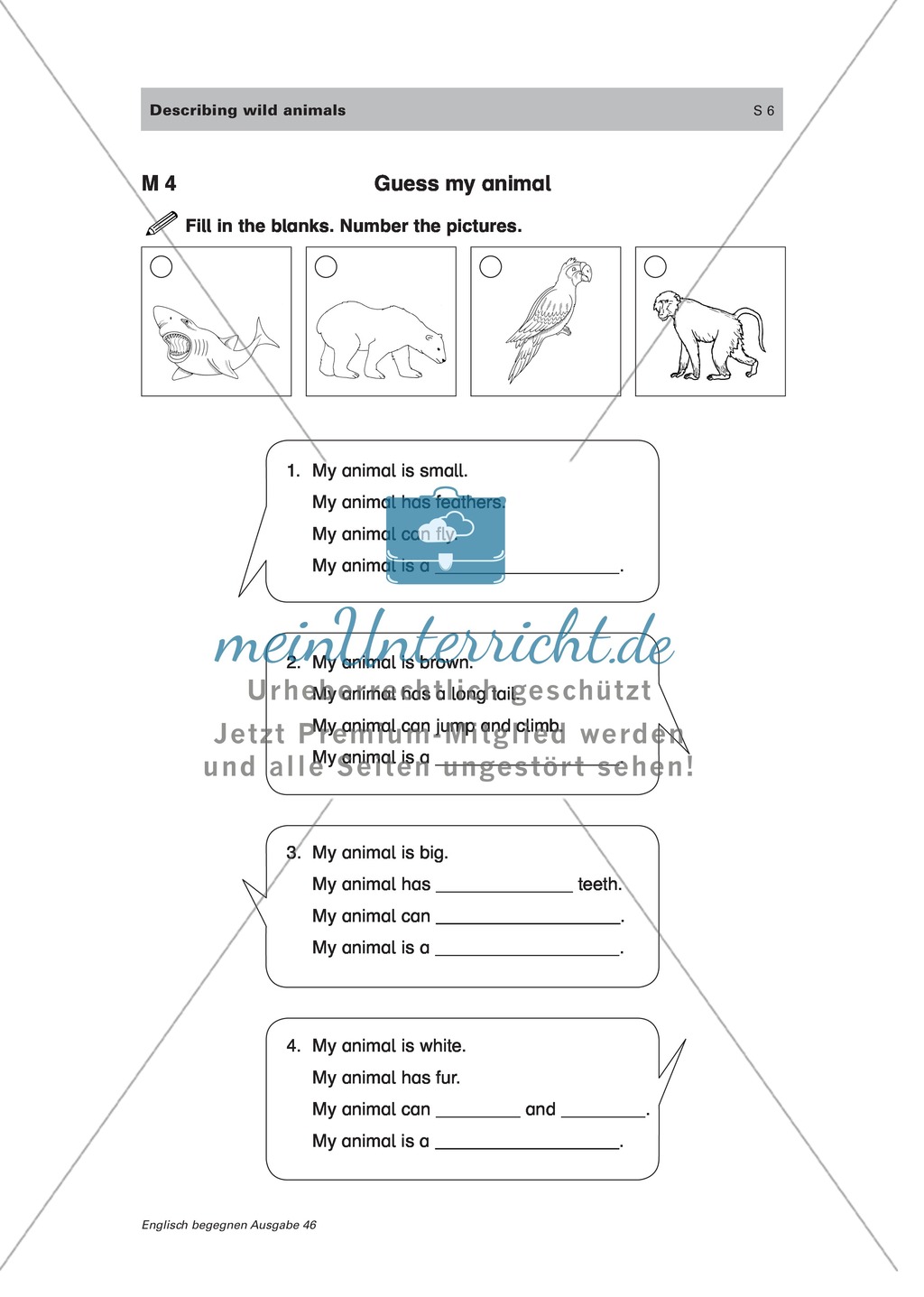 Practicing english vocabulary and sentence structures: describing wild animals Preview 4
