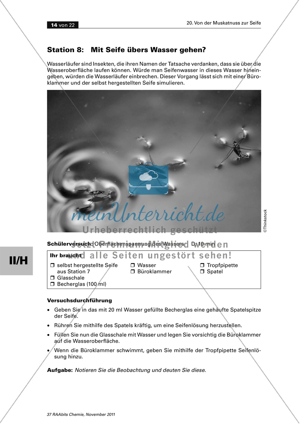 Stationenarbeit zum Thema Fette - Von der Muskatnuss zur Seife Preview 10