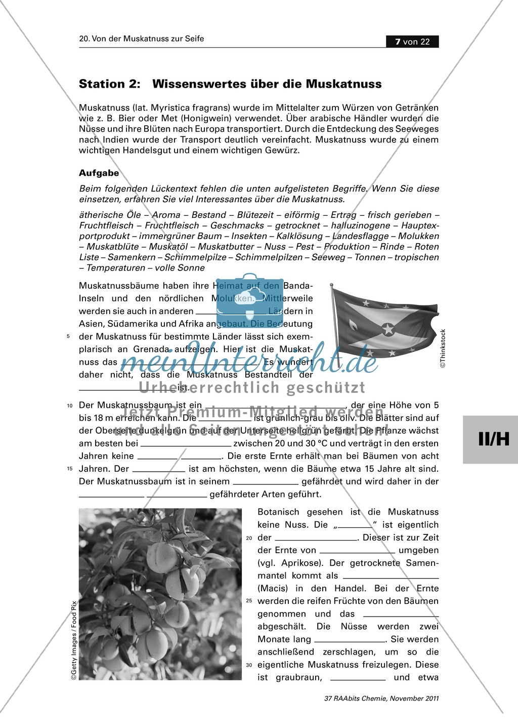Stationenarbeit zum Thema Fette - Von der Muskatnuss zur Seife Preview 3