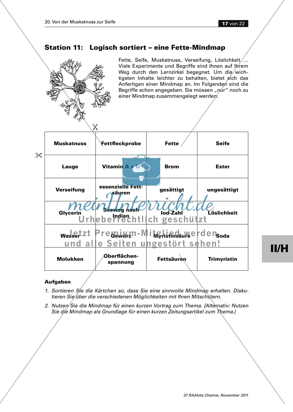 Fette im Modell, Zuordungsspiel zu Fachbegriffen, Mindmap erstellen zu Fetten Preview 3