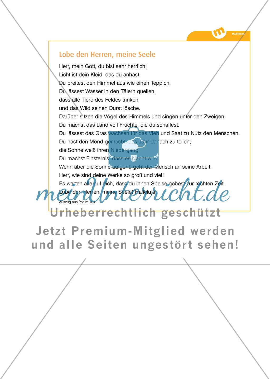 Singen und Tanzen zum Loben der Schöpfung Preview 7