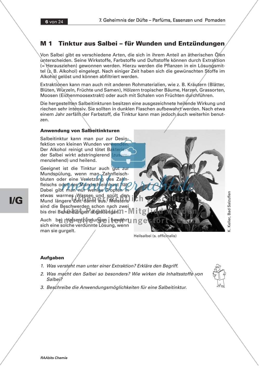 Herstellung einer Salbei-Tinktur durch Extraktion und Informationen zu seiner Anwendung bei Entzündungen Preview 1