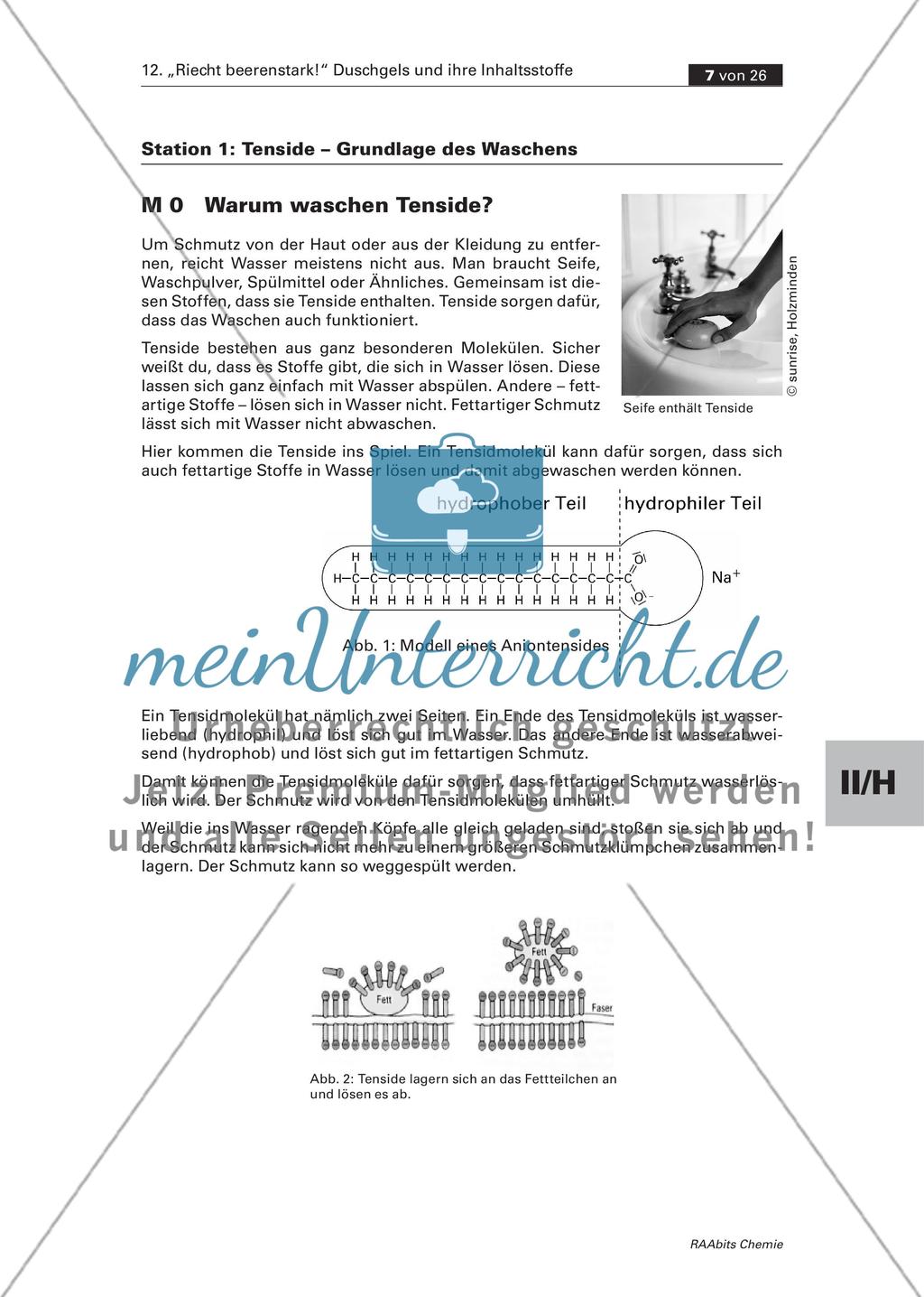 Station 1a und b: Tenside – Grundlage des Waschens Preview 1