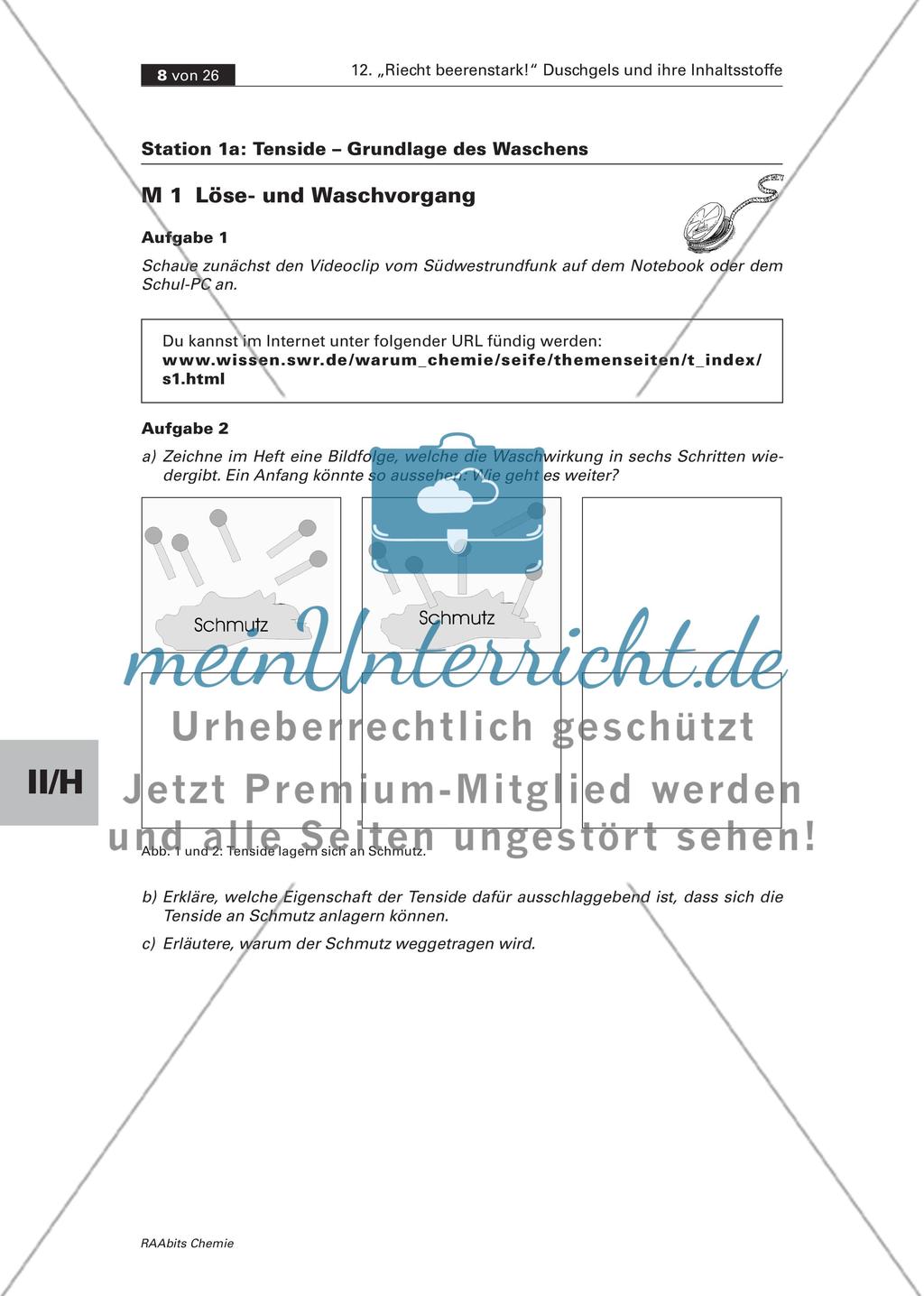 Station 1a und b: Tenside – Grundlage des Waschens Preview 2
