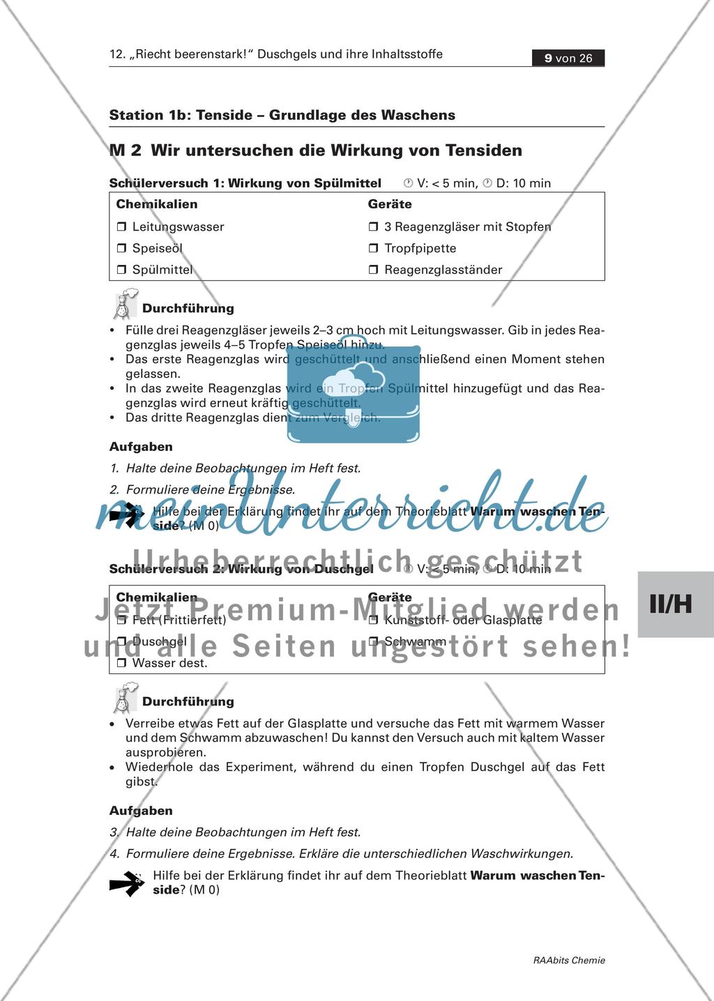 Station 1a und b: Tenside – Grundlage des Waschens Preview 3