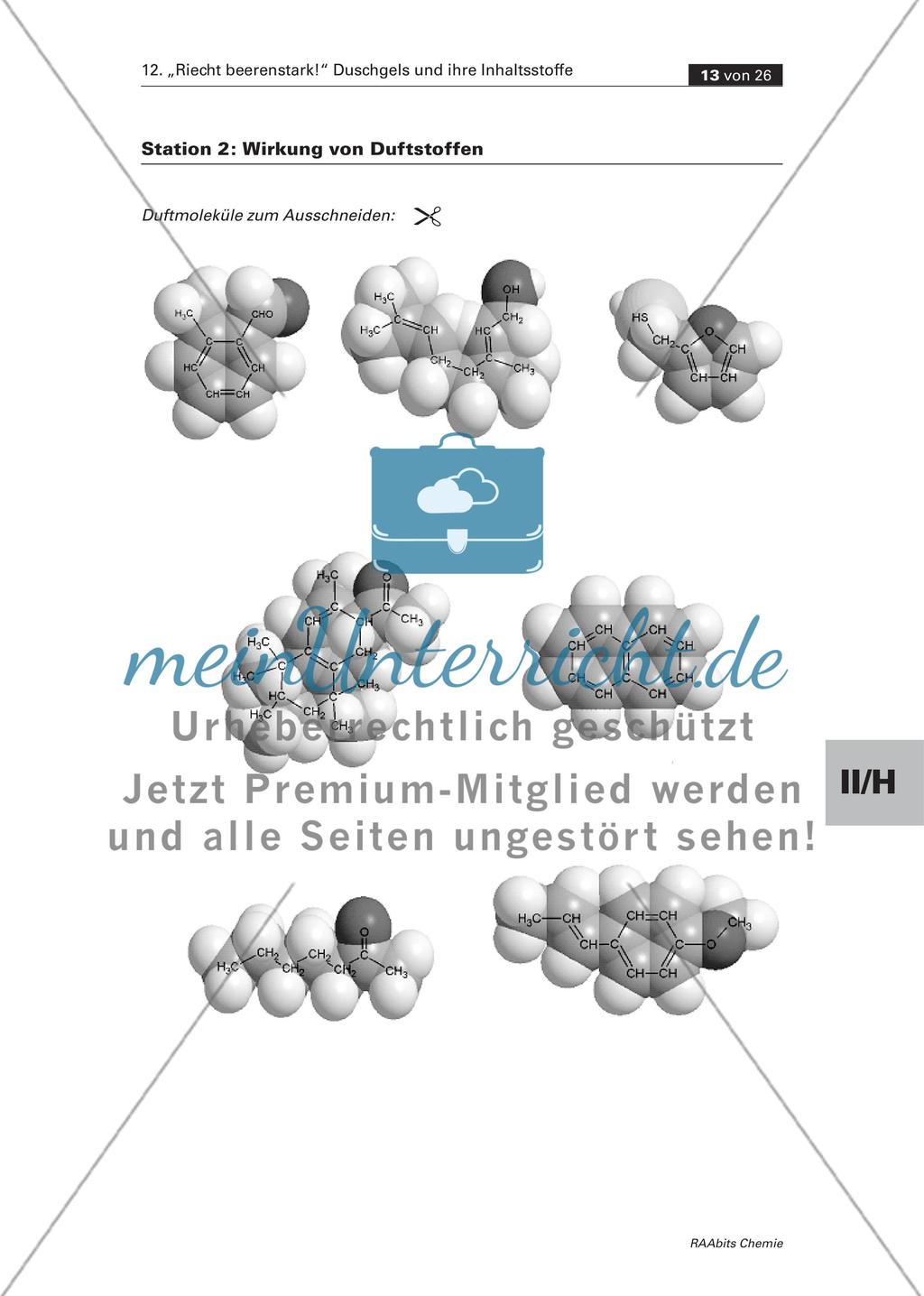 Station 2a und b: Wirkung von Duftstoffen Preview 4