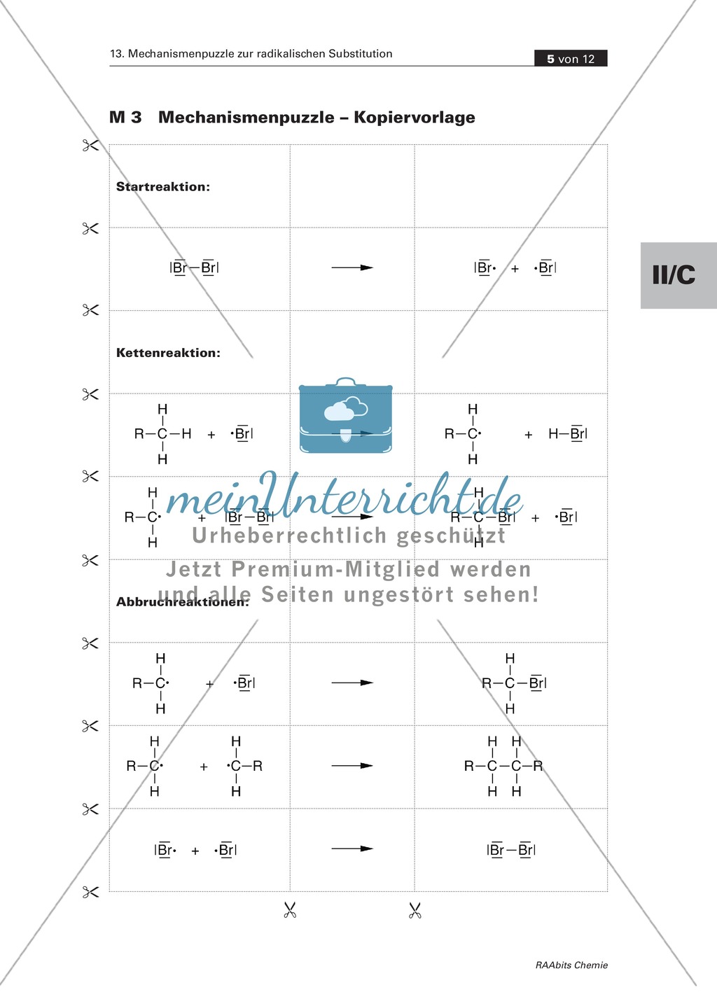 Radikalische Substitution am Beispiel Bromierung von Heptan: Experiment, Mechanismenpuzzle, Beilsteinprobe, Wissenstest Preview 3