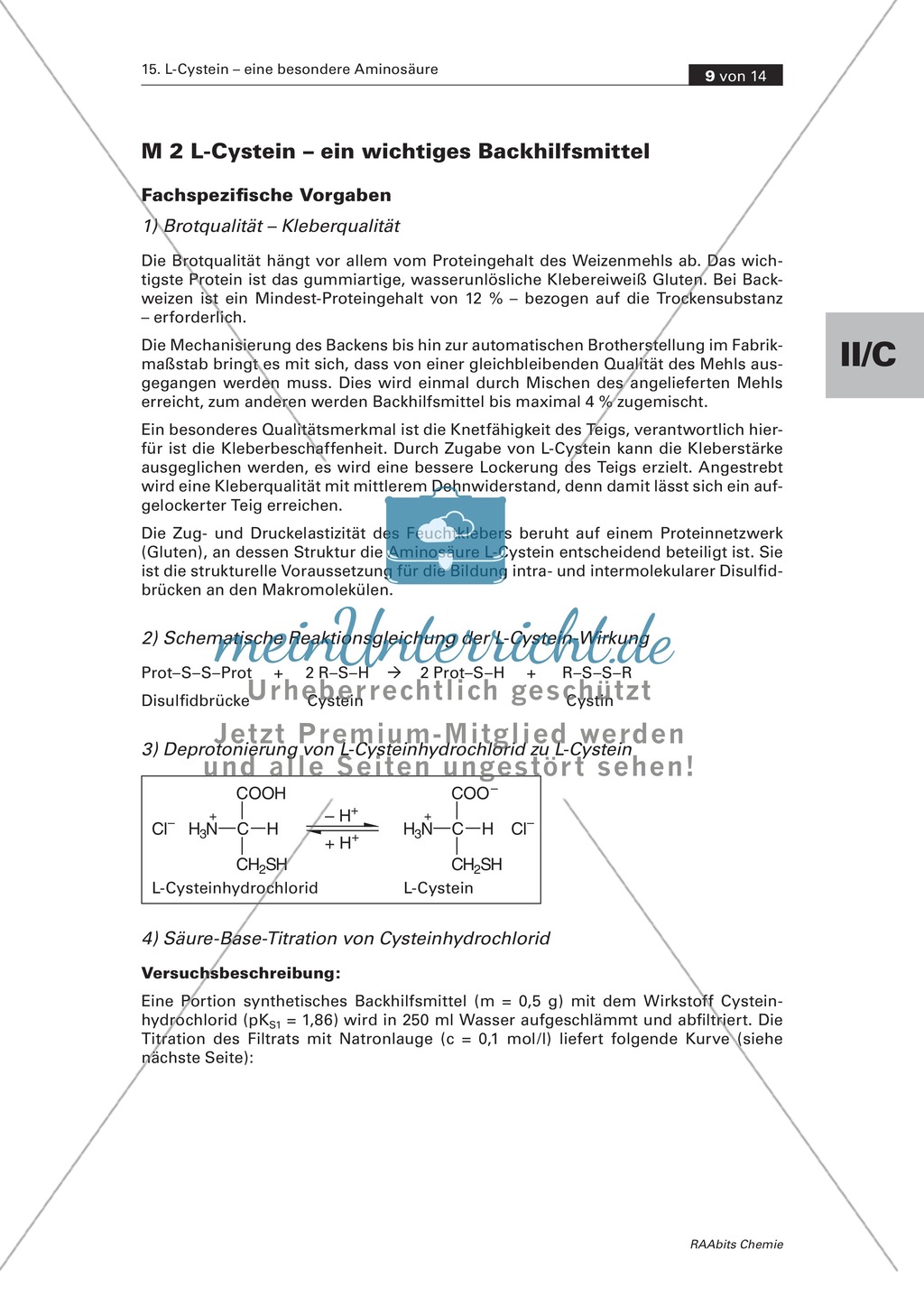 EPA-orientierte Übungsklausur mit Bewertungsschema: L-Cystein als Backhilfsmittel Preview 1