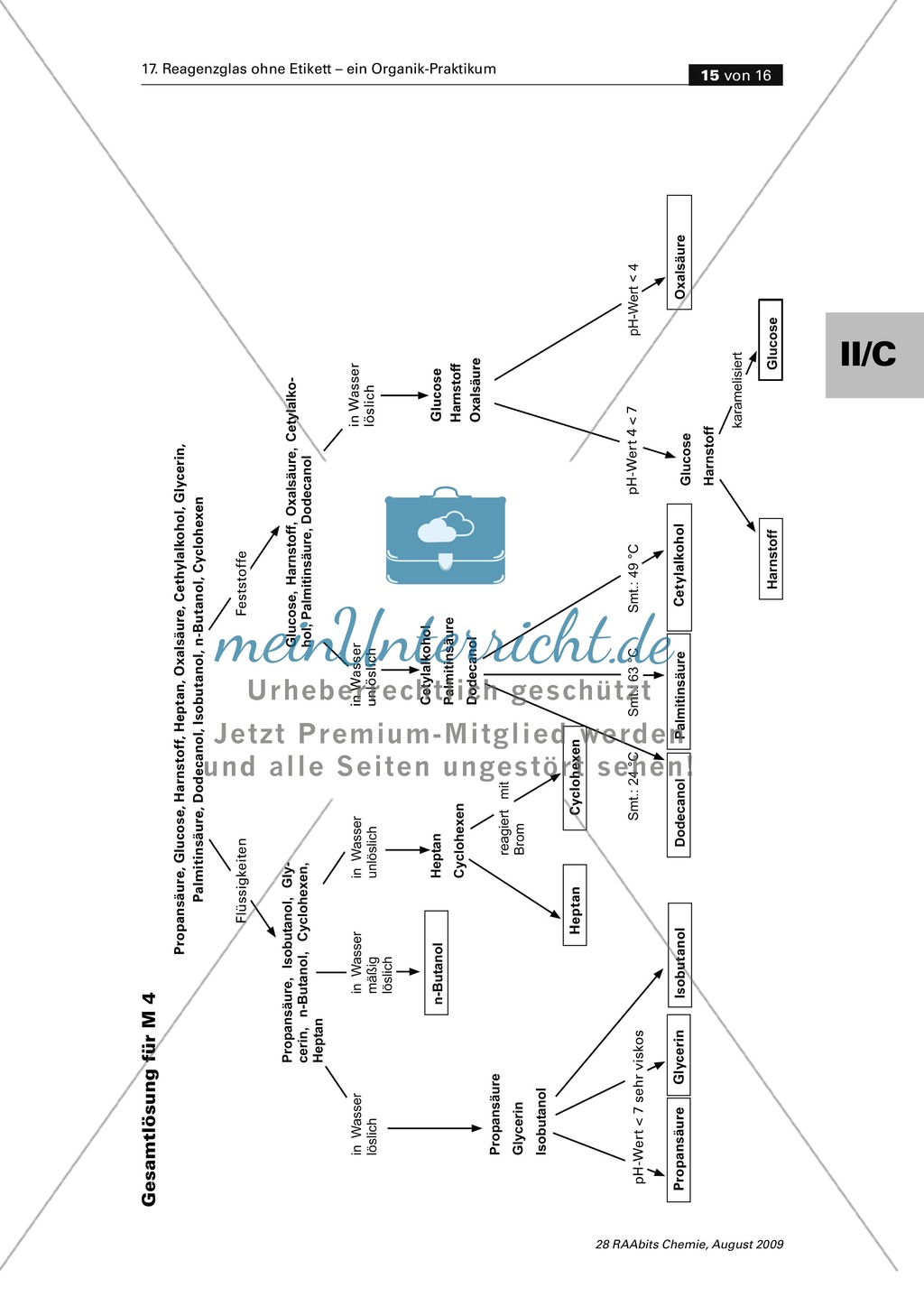 Verfahrensschema zur Identifizierung unbekannter Kohlenstoffverbindungen Preview 11