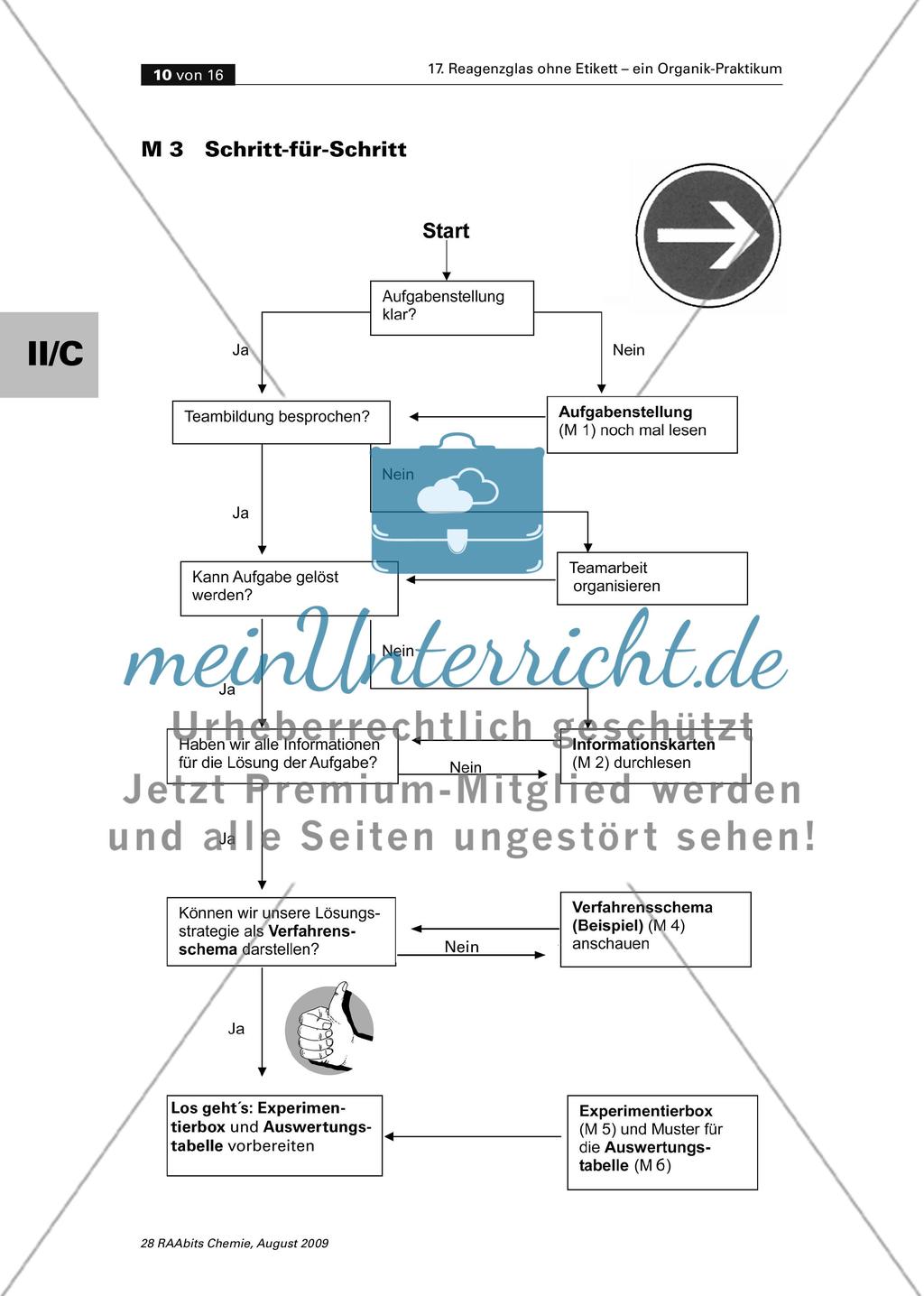 Reagenzglas ohne Etikett – ein Organik-Praktikum zur Einführung in die Oberstufe Preview 10