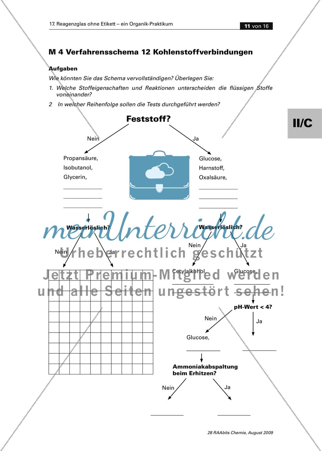 Reagenzglas ohne Etikett – ein Organik-Praktikum zur Einführung in die Oberstufe Preview 11
