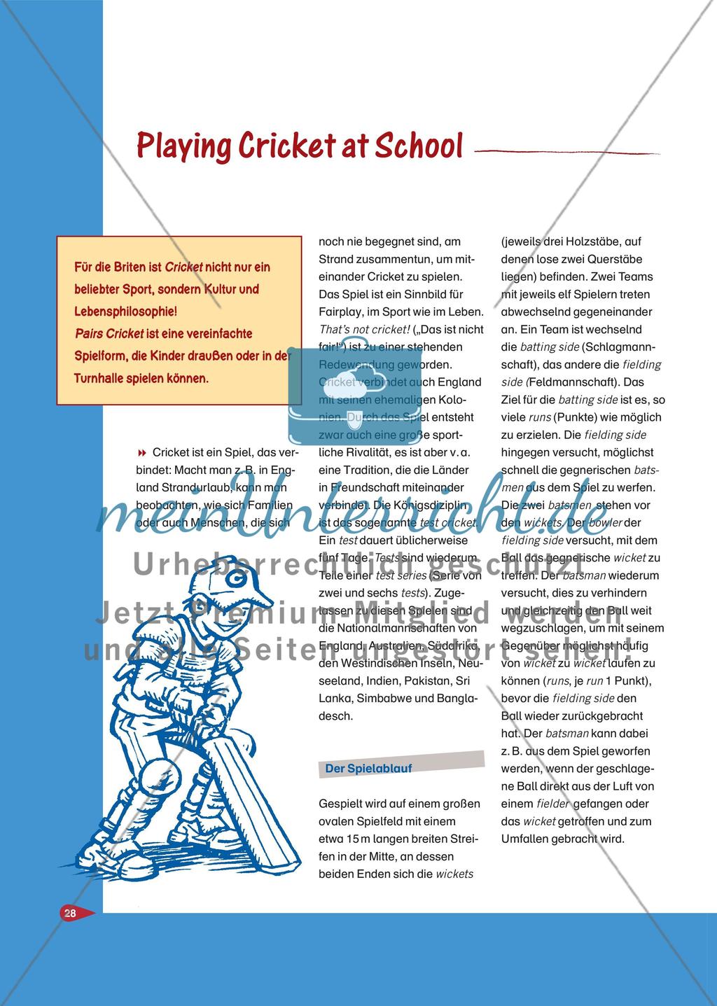 Playing Cricket at School Preview 1