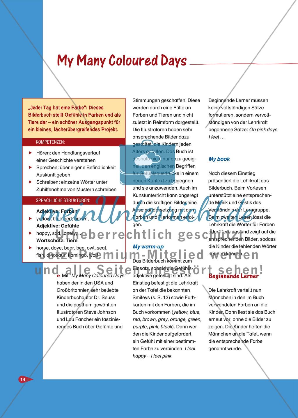 My Many Coloured Days Preview 1