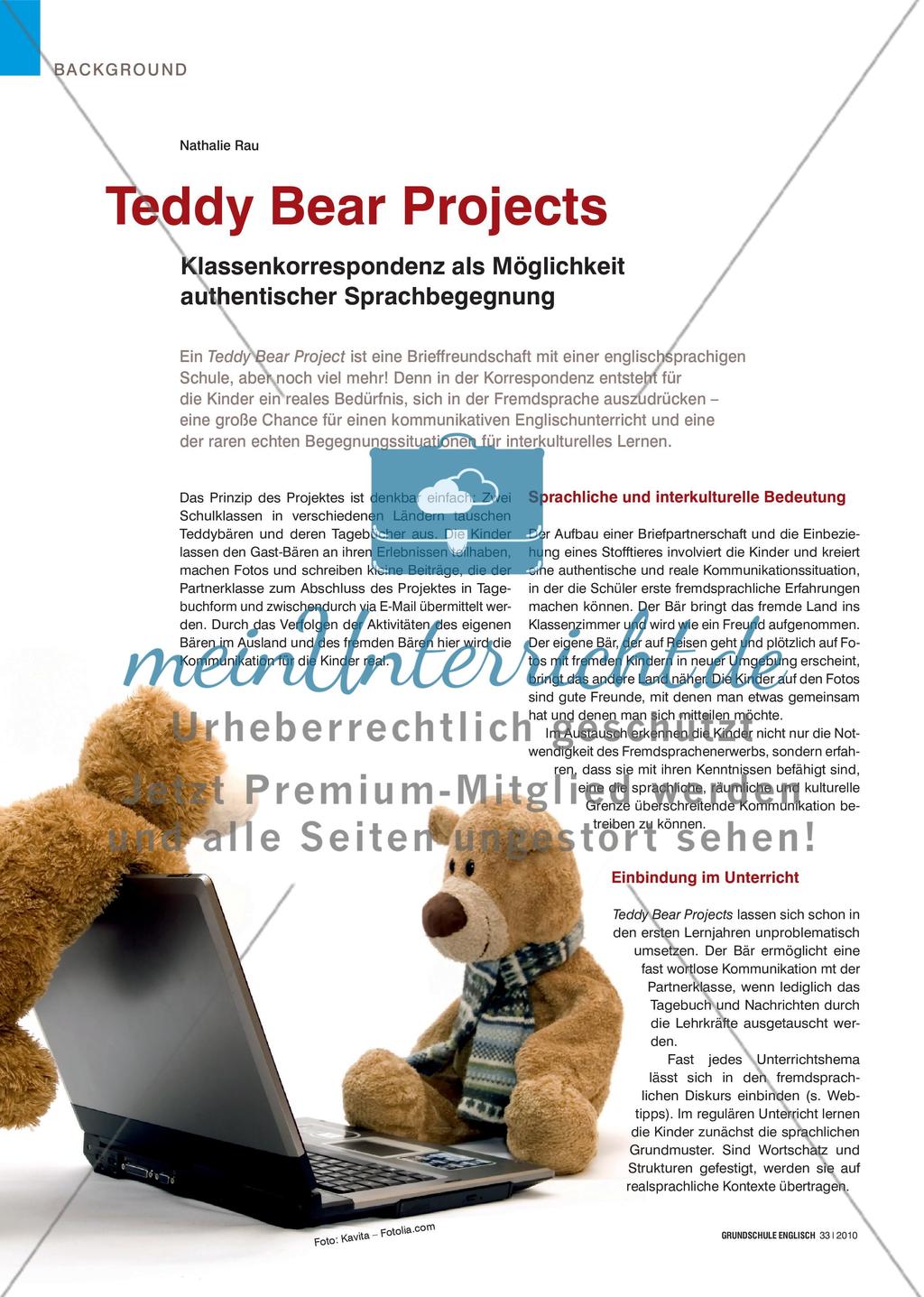 Teddy Bear Projects - Klassenkorrespondenz als Möglichkeit authentischer Sprachbegegnung Preview 1