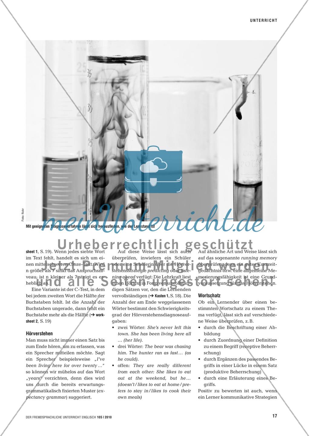 Kompetenzen diagnostizieren Preview 2