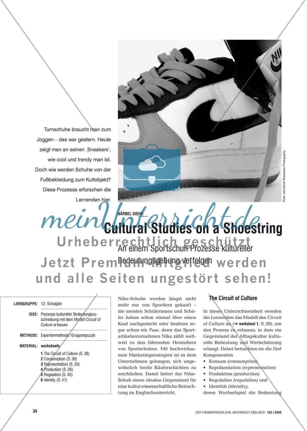 Cultural Studies on a Shoestring - An einem Sportschuh Prozesse kultureller Bedeutungsgebung verfolgen Preview 1