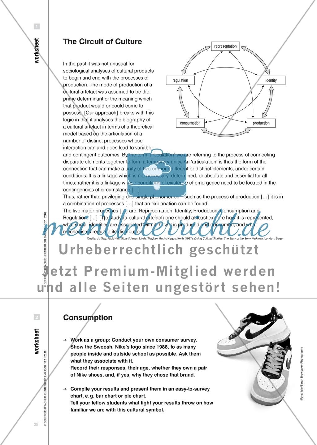Cultural Studies on a Shoestring - An einem Sportschuh Prozesse kultureller Bedeutungsgebung verfolgen Preview 5