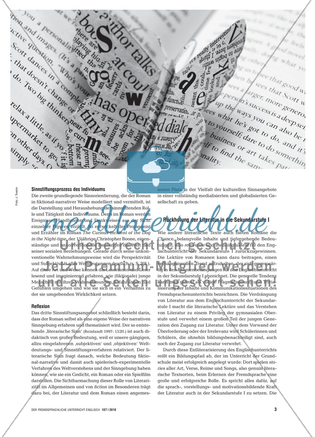Romane lesen lernen Preview 2