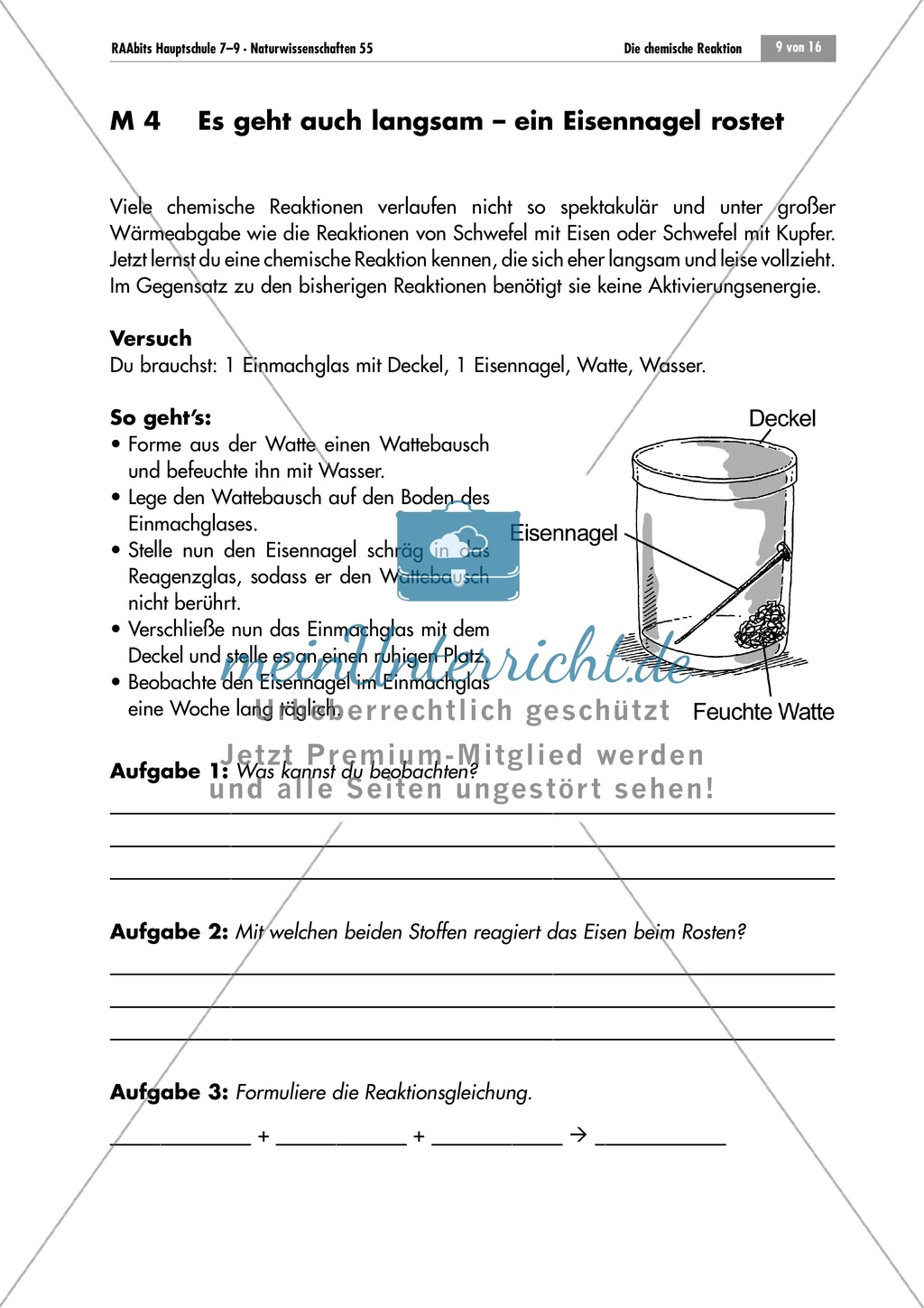 Rost bei Eisen - Ein Schülerexperiment zeigt eine langsame Reaktion + Hypothesen zu Edukten und Produkten und Reaktionsgleichungen Preview 1