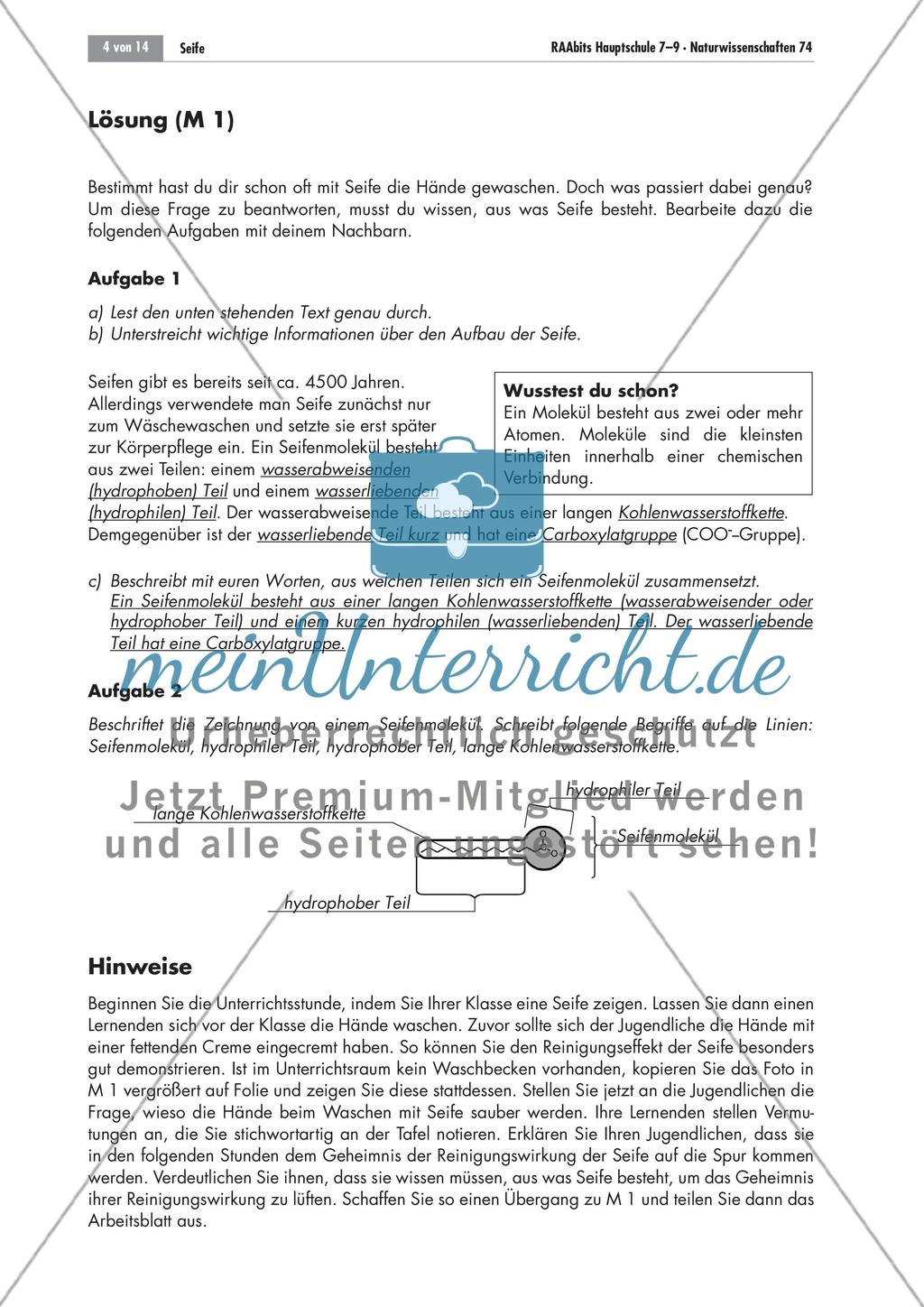 Was steckt eigentlich in der Seife? Preview 2