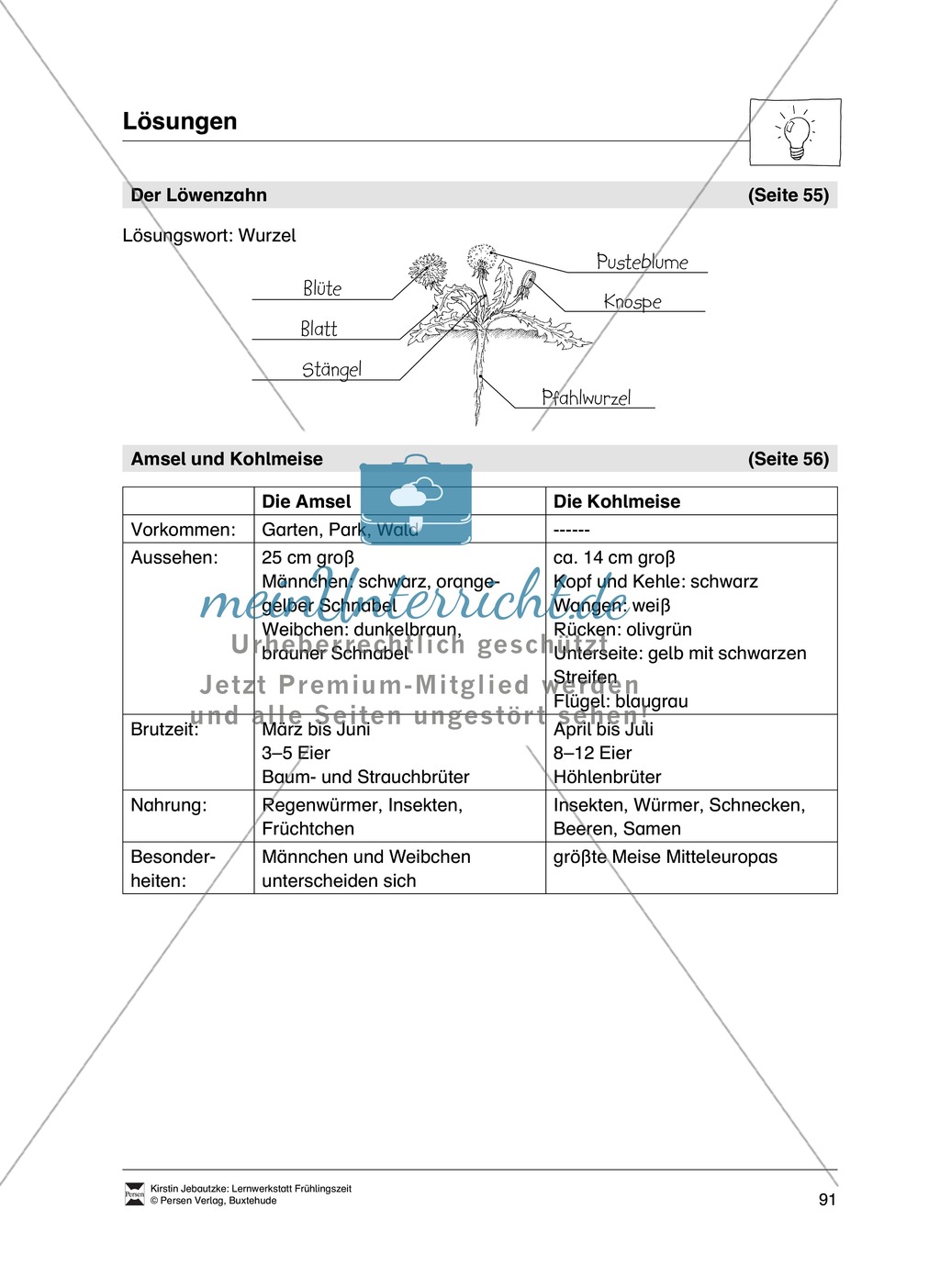 Aufgaben für das Fach Sachkunde zum Thema Frühling Preview 15