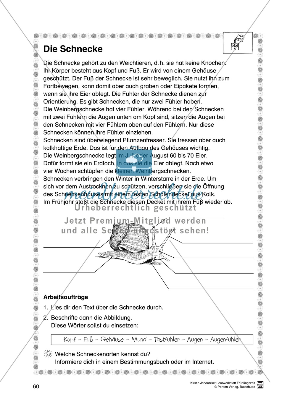 Aufgaben für das Fach Sachkunde zum Thema Frühling Preview 9