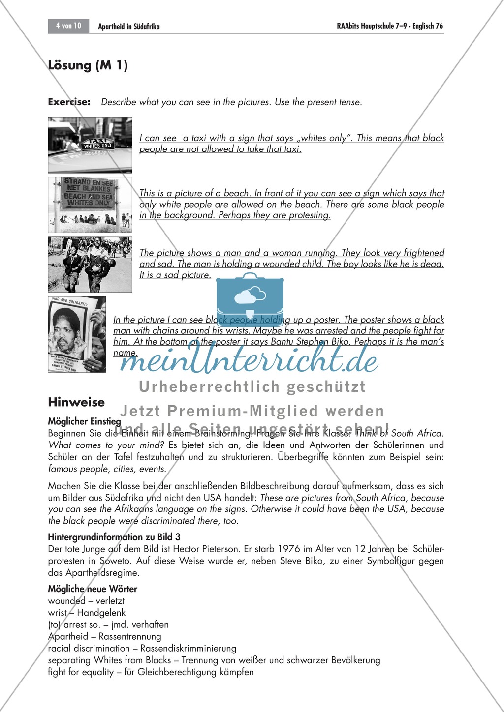 Apartheid South Africa: brainstorming; worksheets and explanations Preview 2
