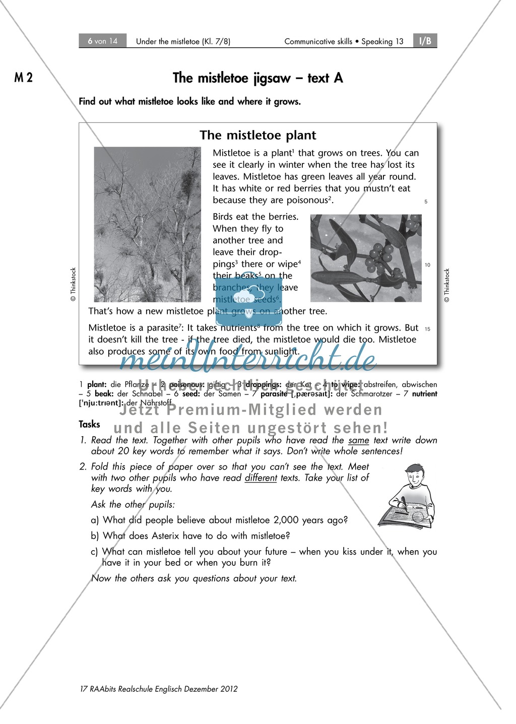 All about the mistletoe: Informationstexte zum Mistelzweig und Weihnachten. Mit Bild als Wortschatzübung, didaktischen Anmerkungen und Erwartungshorizont. Preview 2