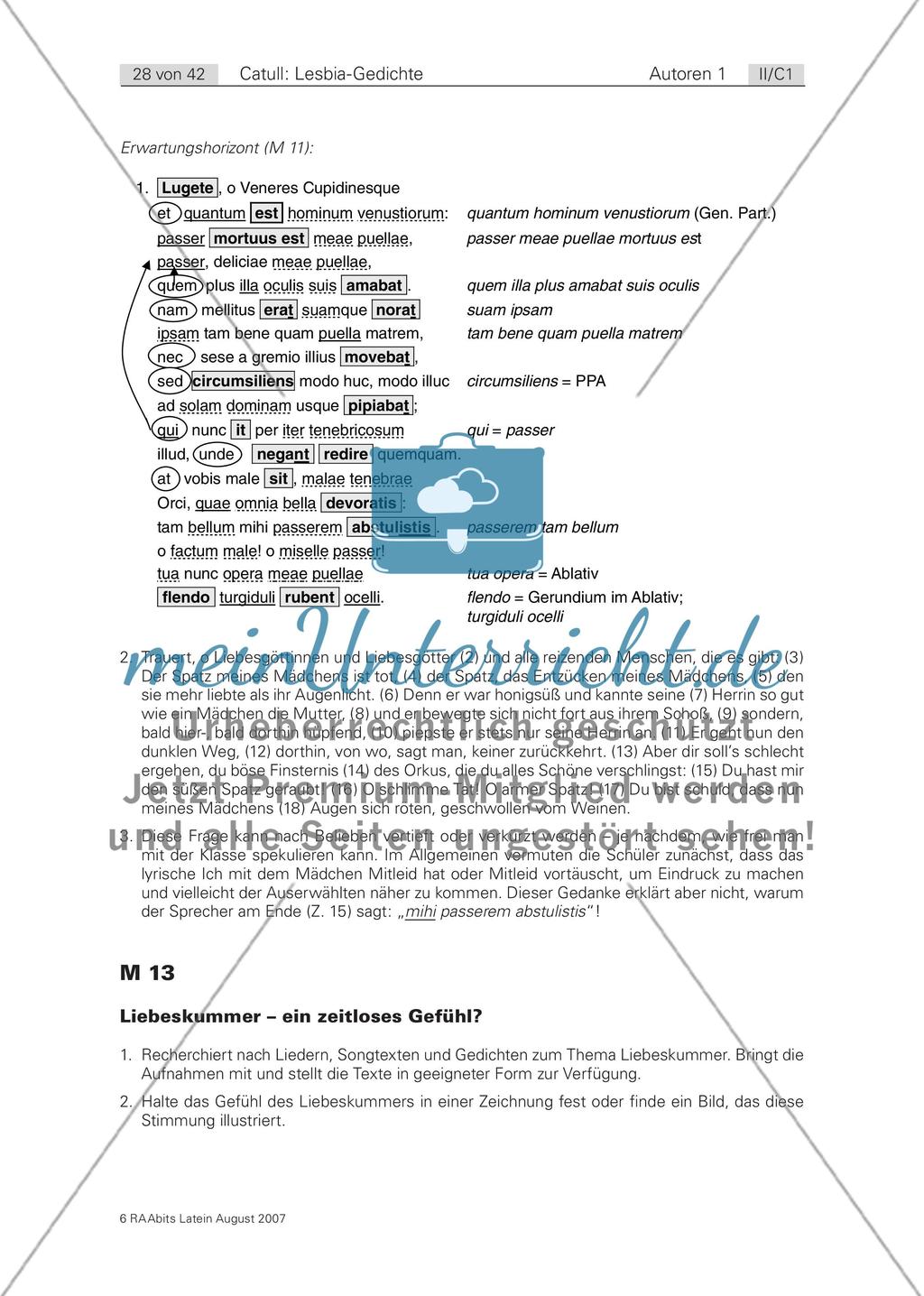 Liebeskummer (carmen 8) / Zerrissenheit (carmen 85) Preview 1