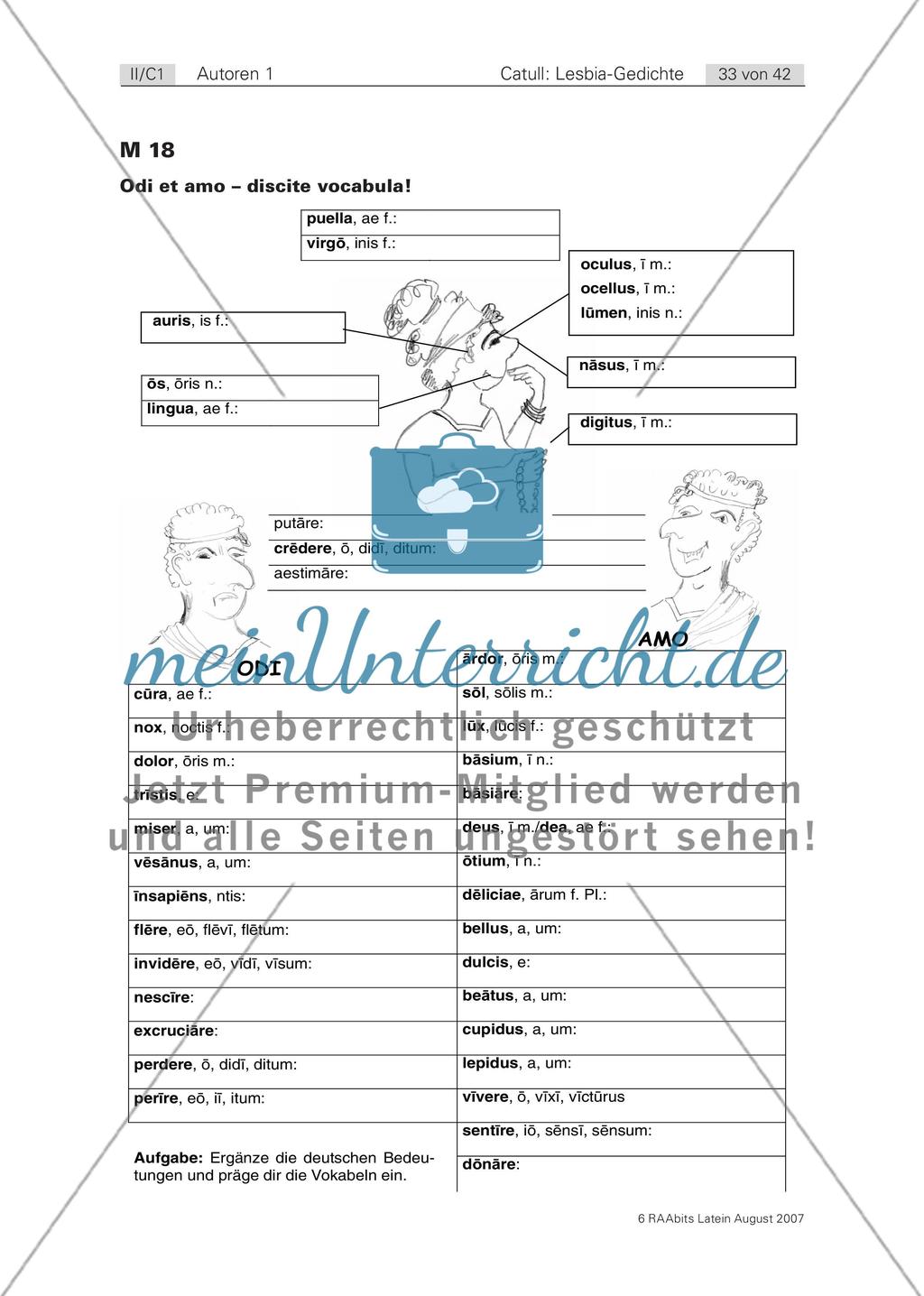 Liebeskummer (carmen 8) / Zerrissenheit (carmen 85) Preview 6