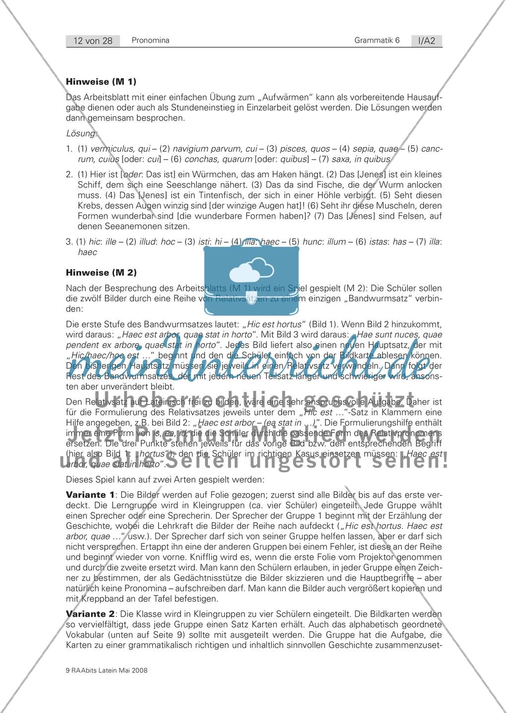 Zum Aufwärmen (Relativ- und Demonstrativpronomina; Übersicht) Preview 6