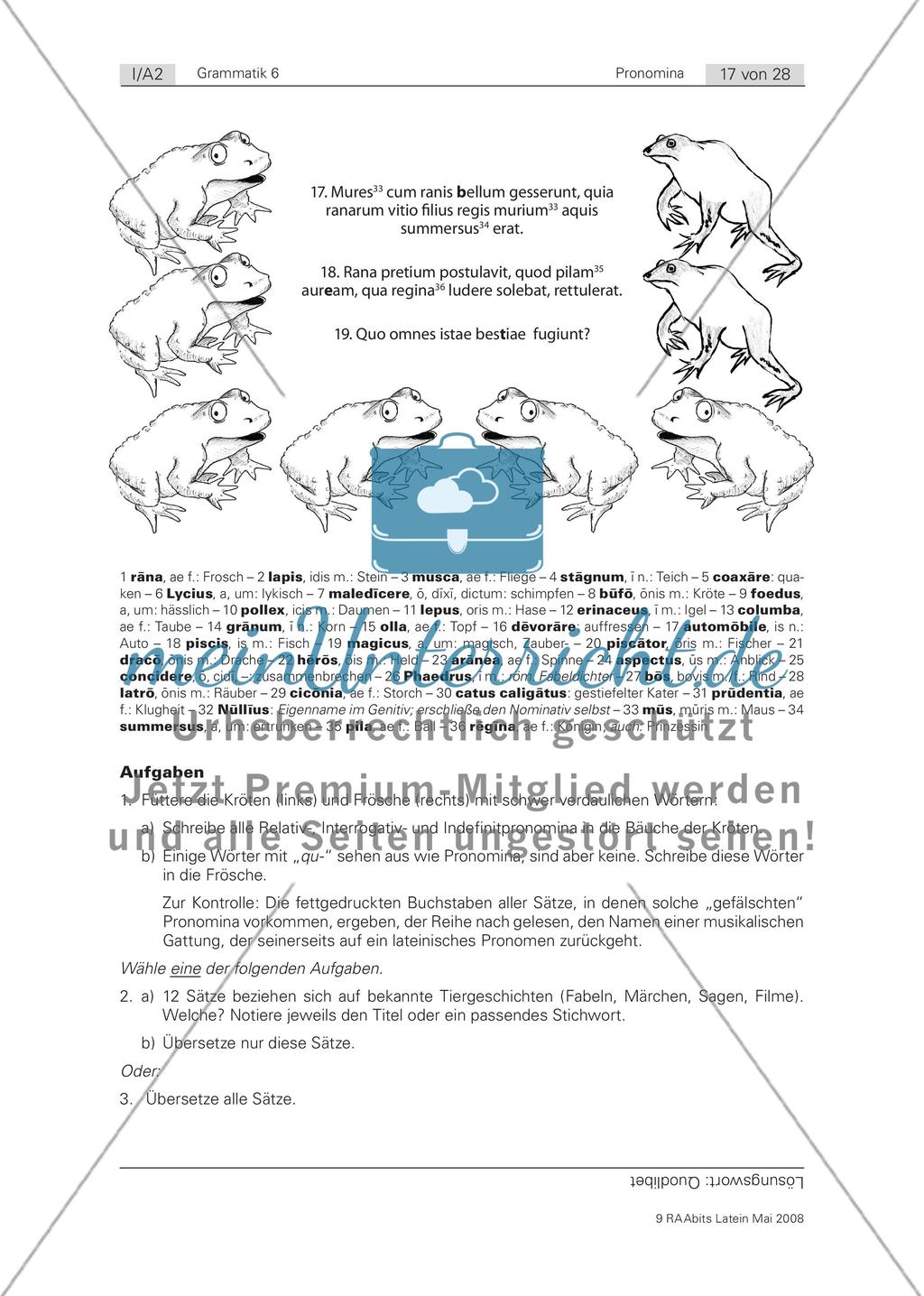 Tierische Übungen / Ein Mord, ein Irrgarten und ein Schatz: Den Pronomina auf der Spur Preview 4