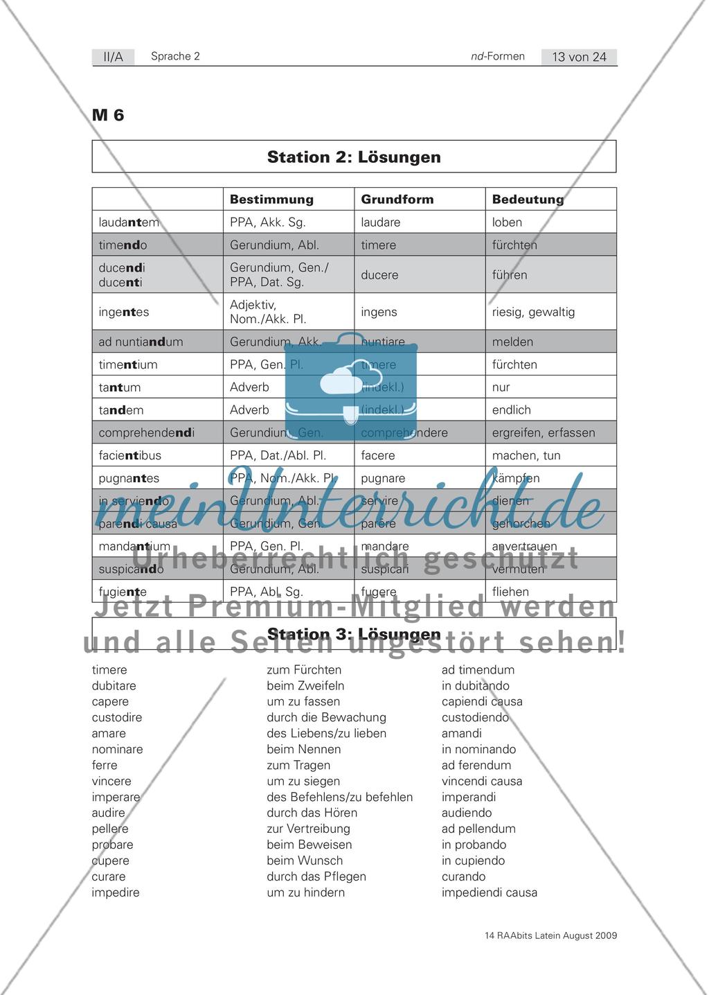 Fit in den nd-Formen! Lernzirkel zur Grammatikwiederholung Preview 13