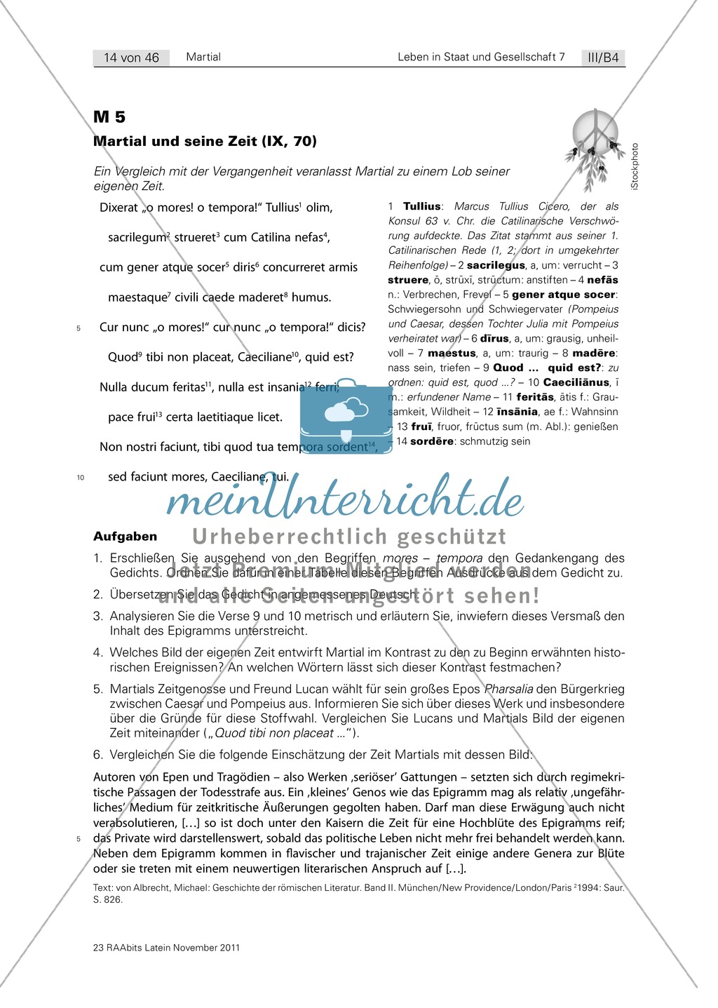 Martial: Ein Dichter und seine Zeit. Mit Wortschatzübung 