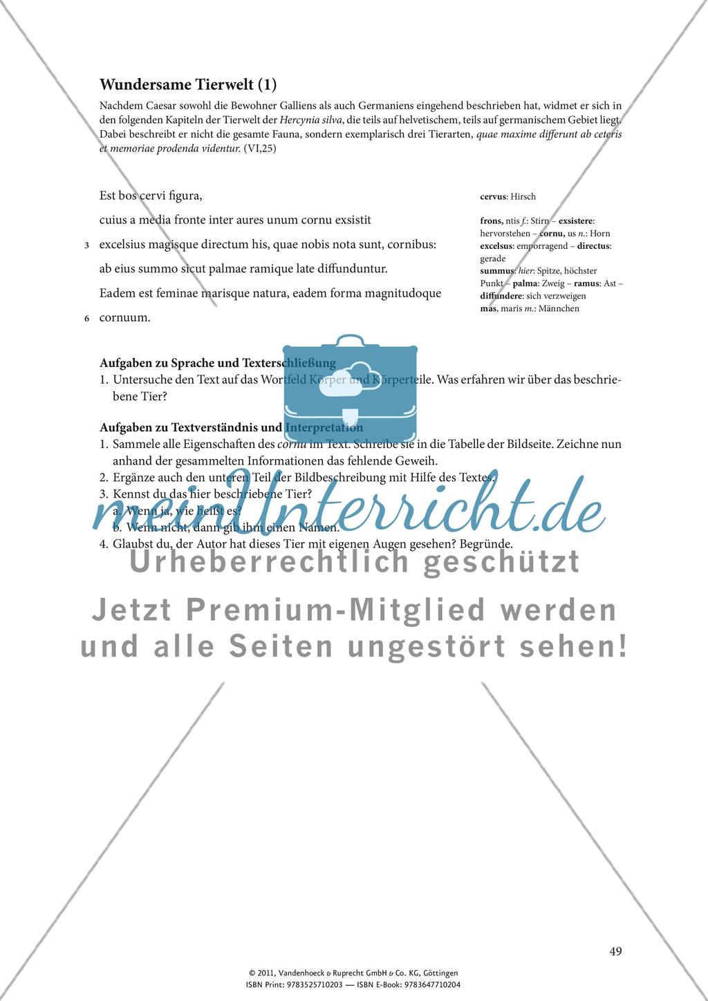 Wundersame Tierwelt (1) Preview 2