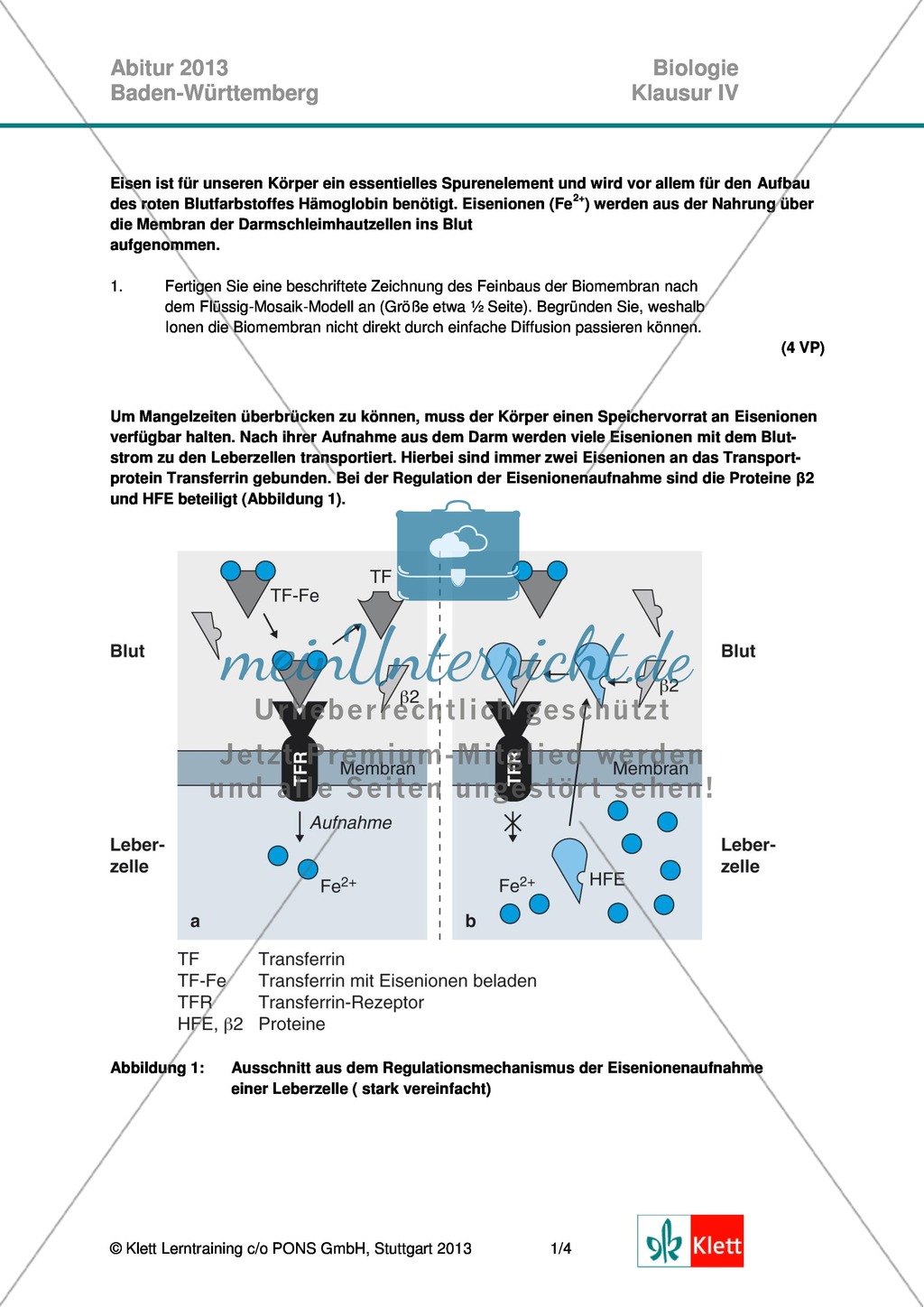 Abituraufgaben Baden-Württemberg 2013-IV:Erschließen von regulatorischen Vorgängen im menschlichen Körper am Beispiel der Eisenaufnahme und -speicherung mit Bezug zu genetischen Voraussetzungen.Mit Arbeitsmaterial und Lösungen. Preview 1