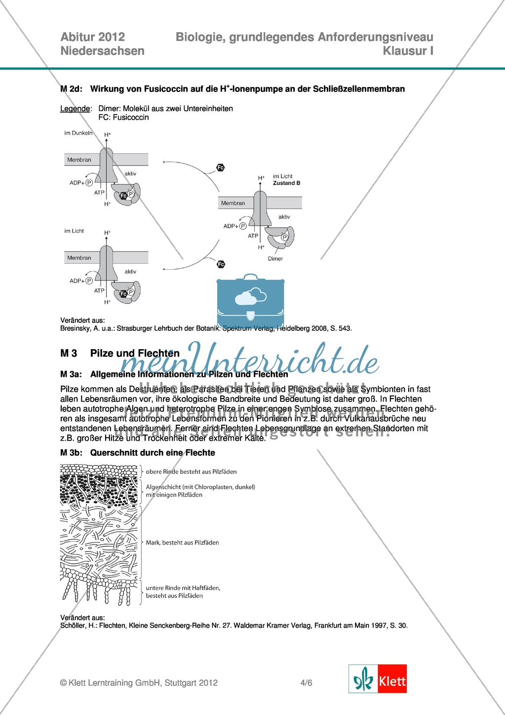 Abituraufgaben Niedersachsen 2012 gA-I: Erschließen der Bedeutung von Pilzen und Flechten im Ökosystem. Mit Arbeitsmaterial und Lösungen. Preview 4