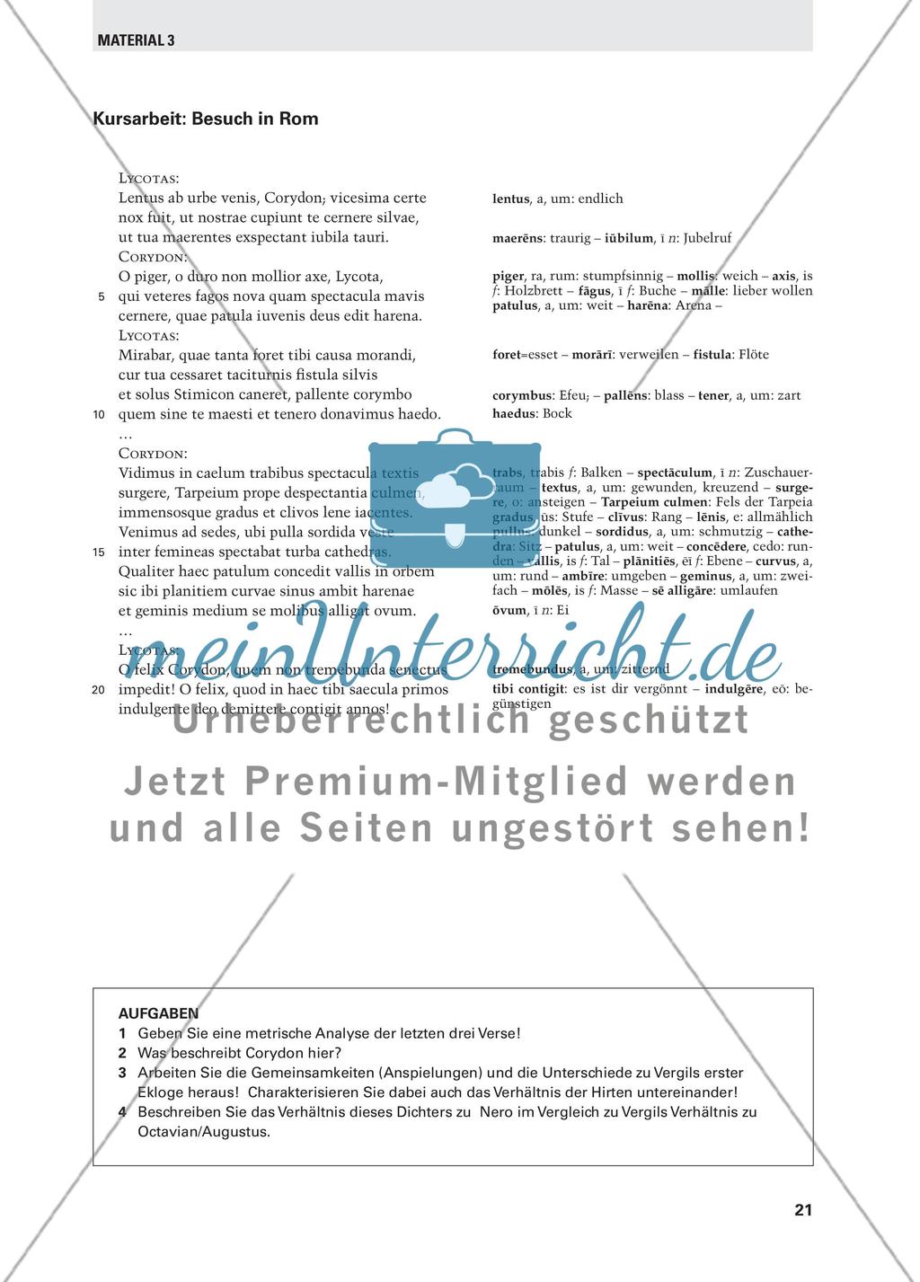 Vergils Eklogen im Lateinunterricht Preview 10