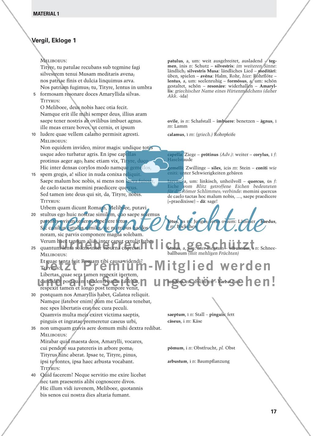Vergils Eklogen im Lateinunterricht Preview 6