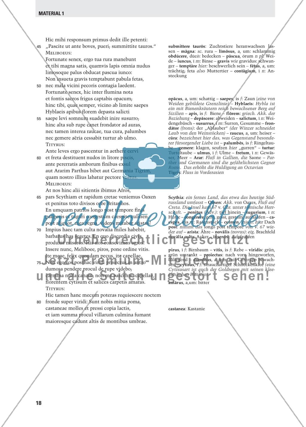 Vergils Eklogen im Lateinunterricht Preview 7