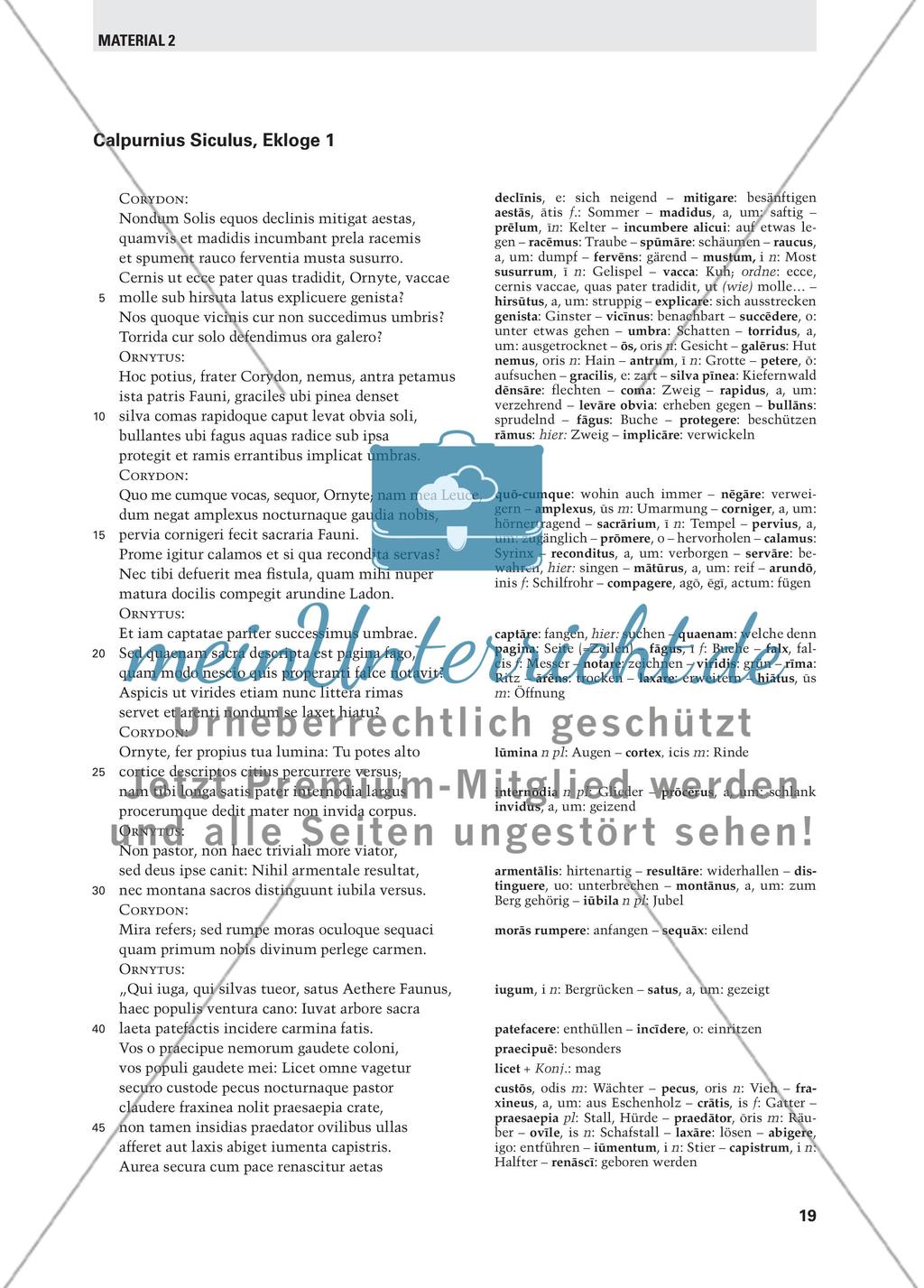 Vergils Eklogen im Lateinunterricht Preview 8