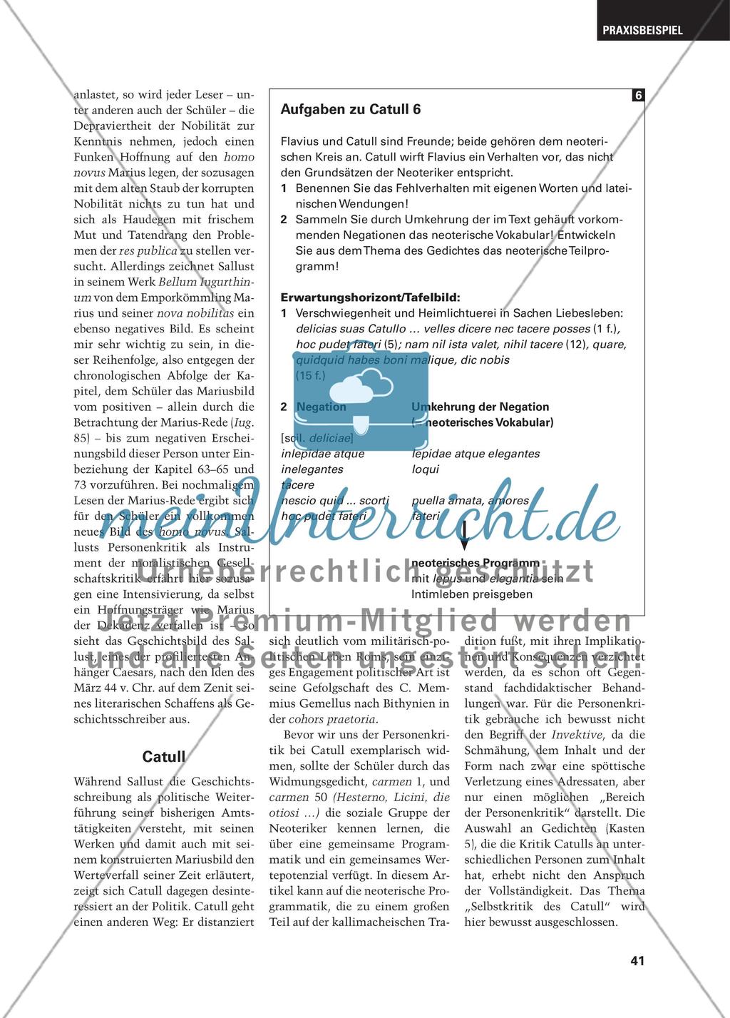 Personenkritik bei Sallust und Catull - Konträre Lebensentwürfe im Rom der ausgehenden Republik Preview 7