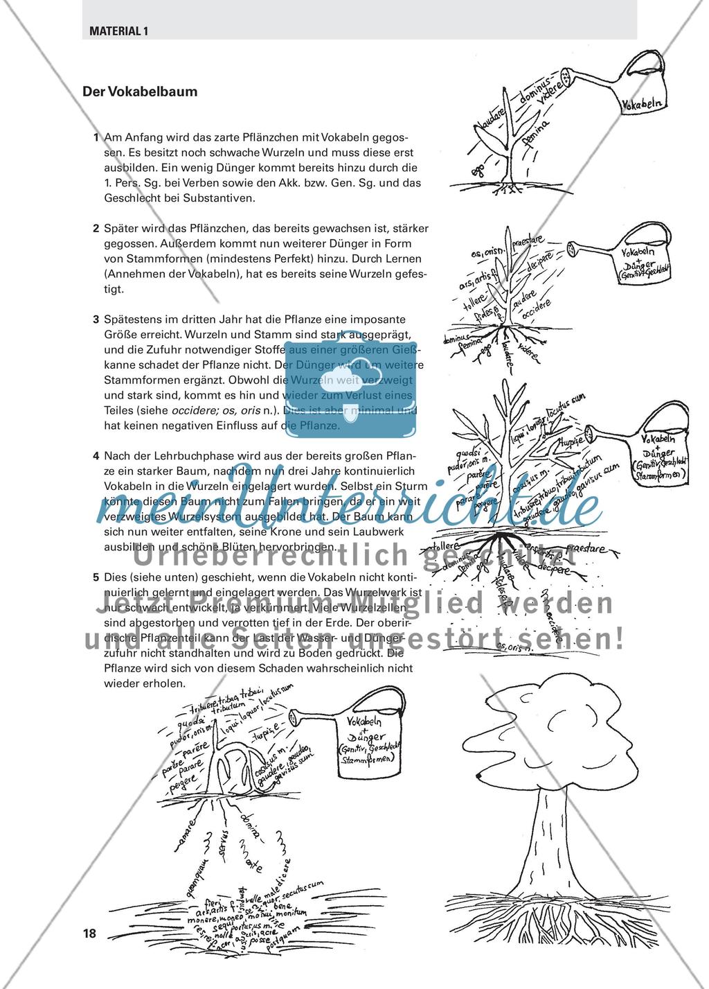 Ein Elternabend zum Thema Vokabellernen Preview 7