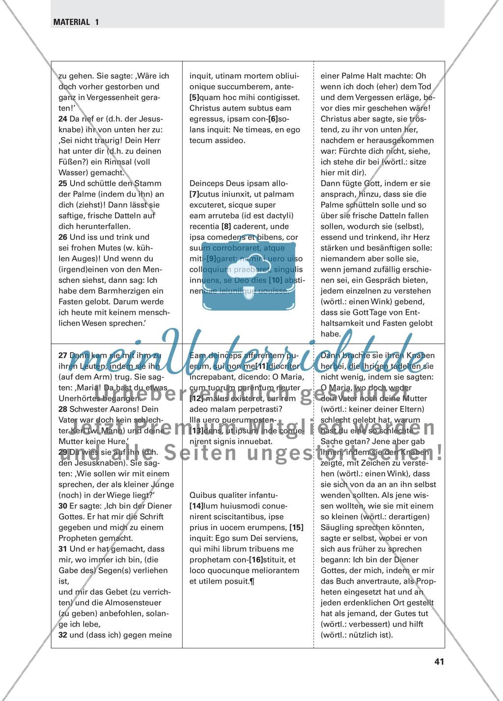 Die Weihnachtsgeschichte in einer lateinischen Koranübersetzung des Mittelalters Preview 10