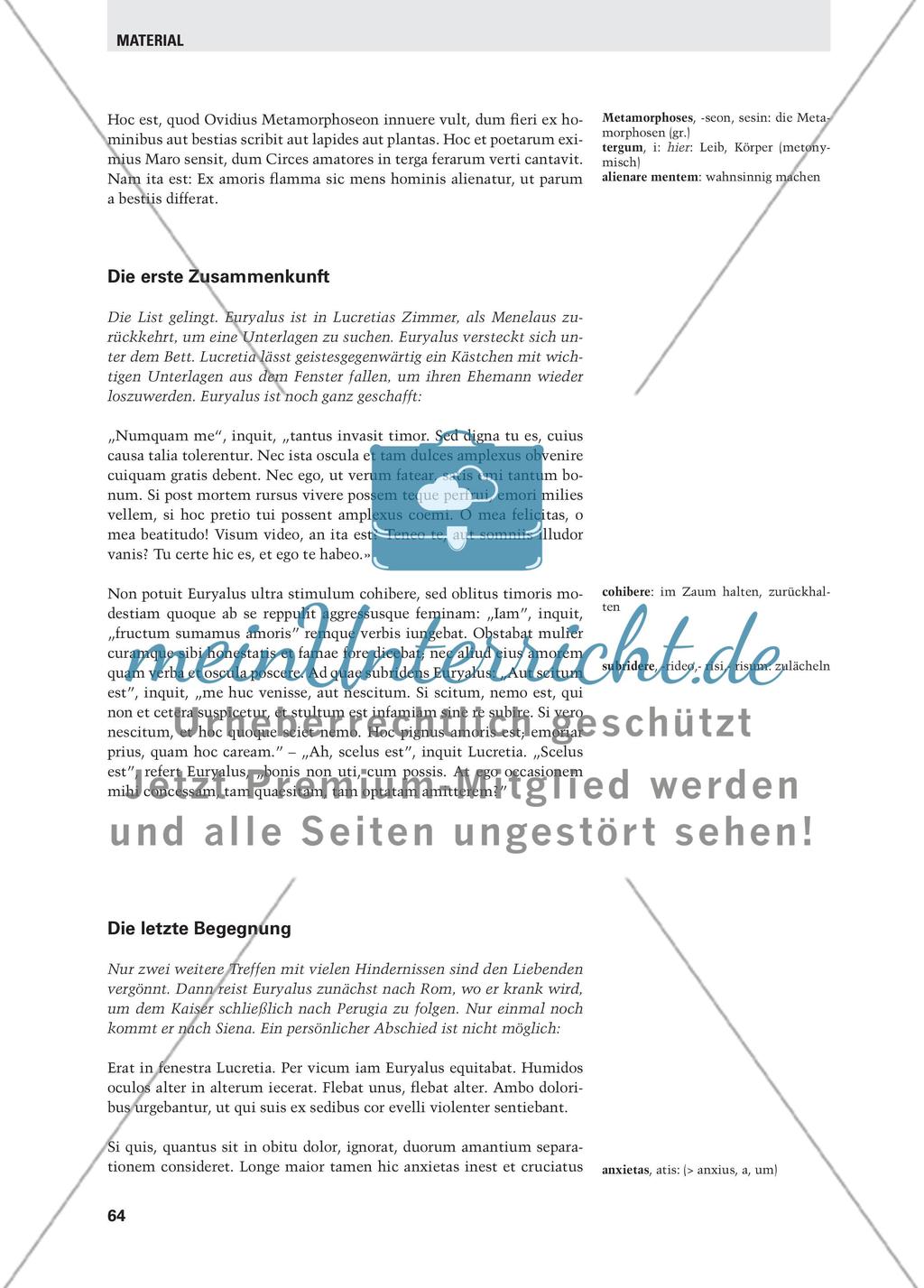 Die Liebe, eine unerhörte Begebenheit - Ein Vergleich von Ovid, Piccolomini, Goethe und Keller Preview 11