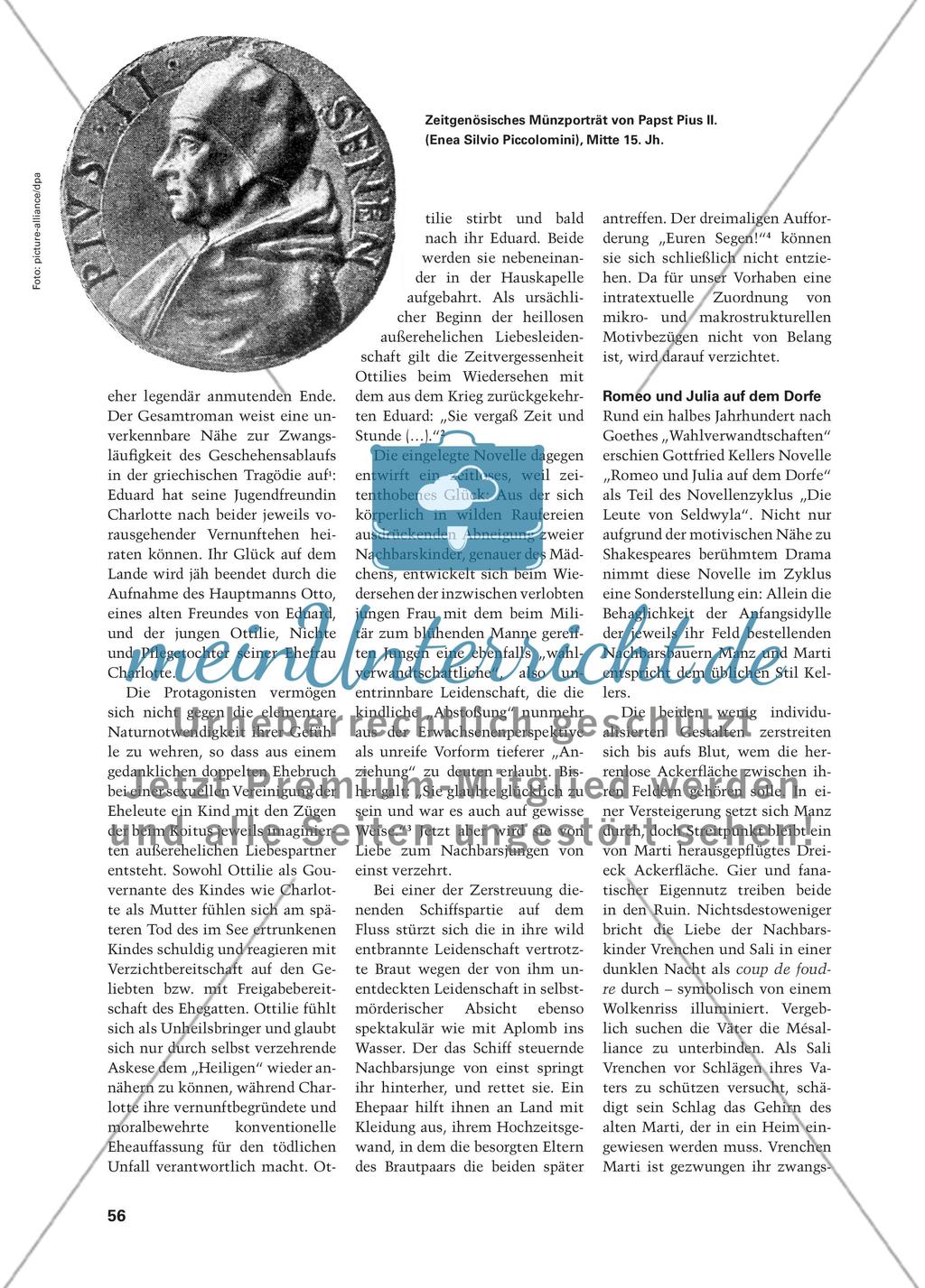 Die Liebe, eine unerhörte Begebenheit - Ein Vergleich von Ovid, Piccolomini, Goethe und Keller Preview 3