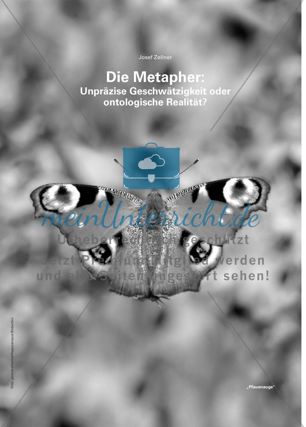 Die Metapher: Unpräzise Geschwätzigkeit oder ontologische Realität? Preview 1